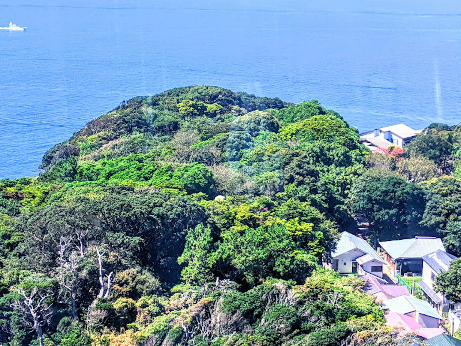Vue panoramique d'une île verdoyante entourée par la mer avec des maisons à proximité