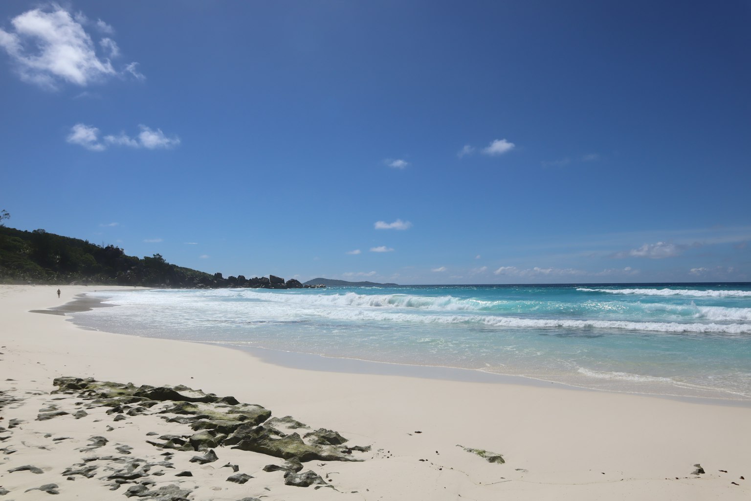 Vue de plage pittoresque avec des vagues douces et un ciel bleu clair