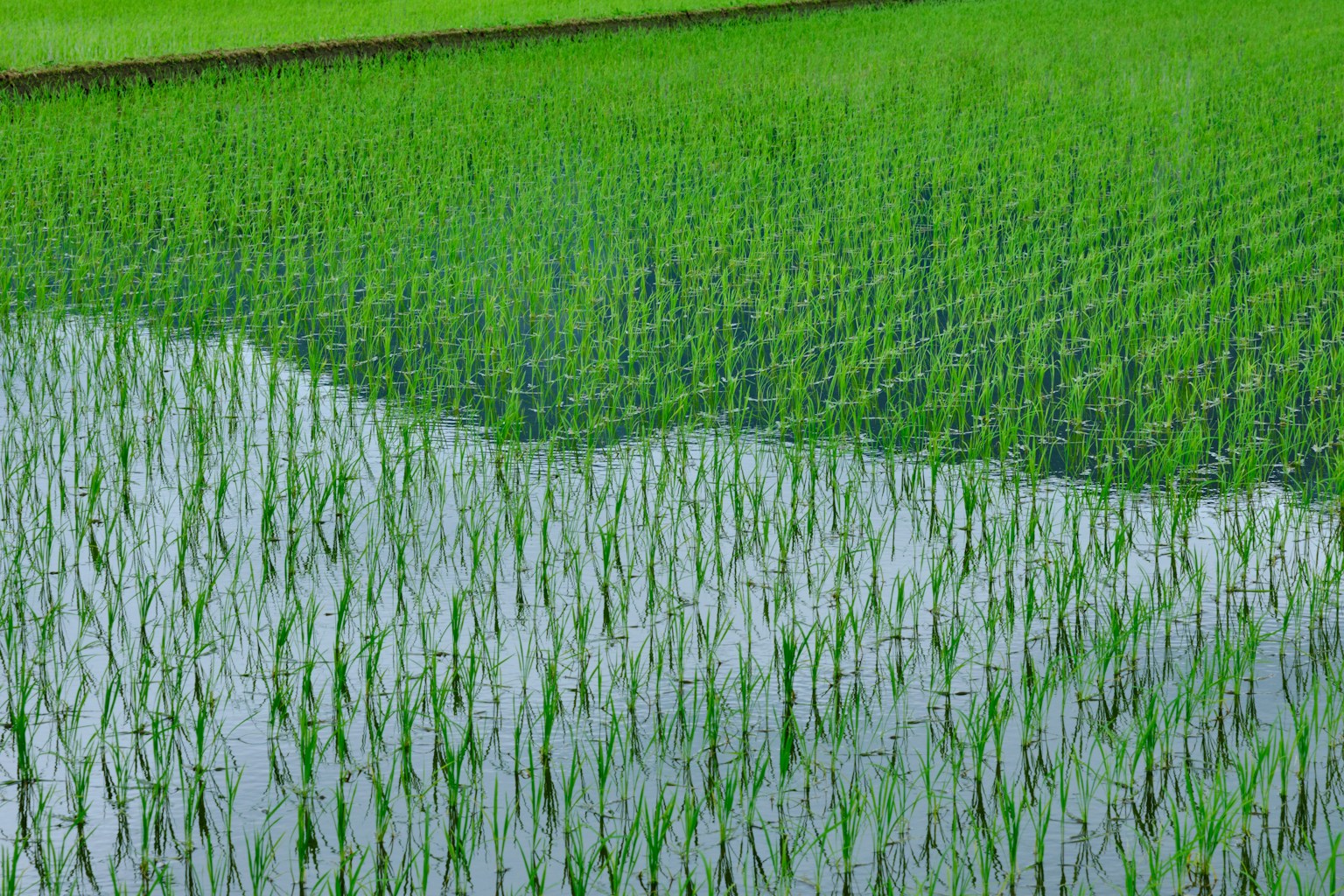 photo-ESN7vGpTYYzMEXKFEloR-image