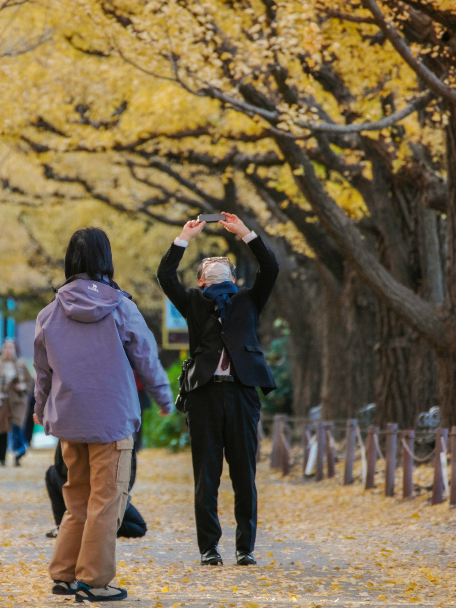 People taking photos on a tree-lined path covered in yellow leaves