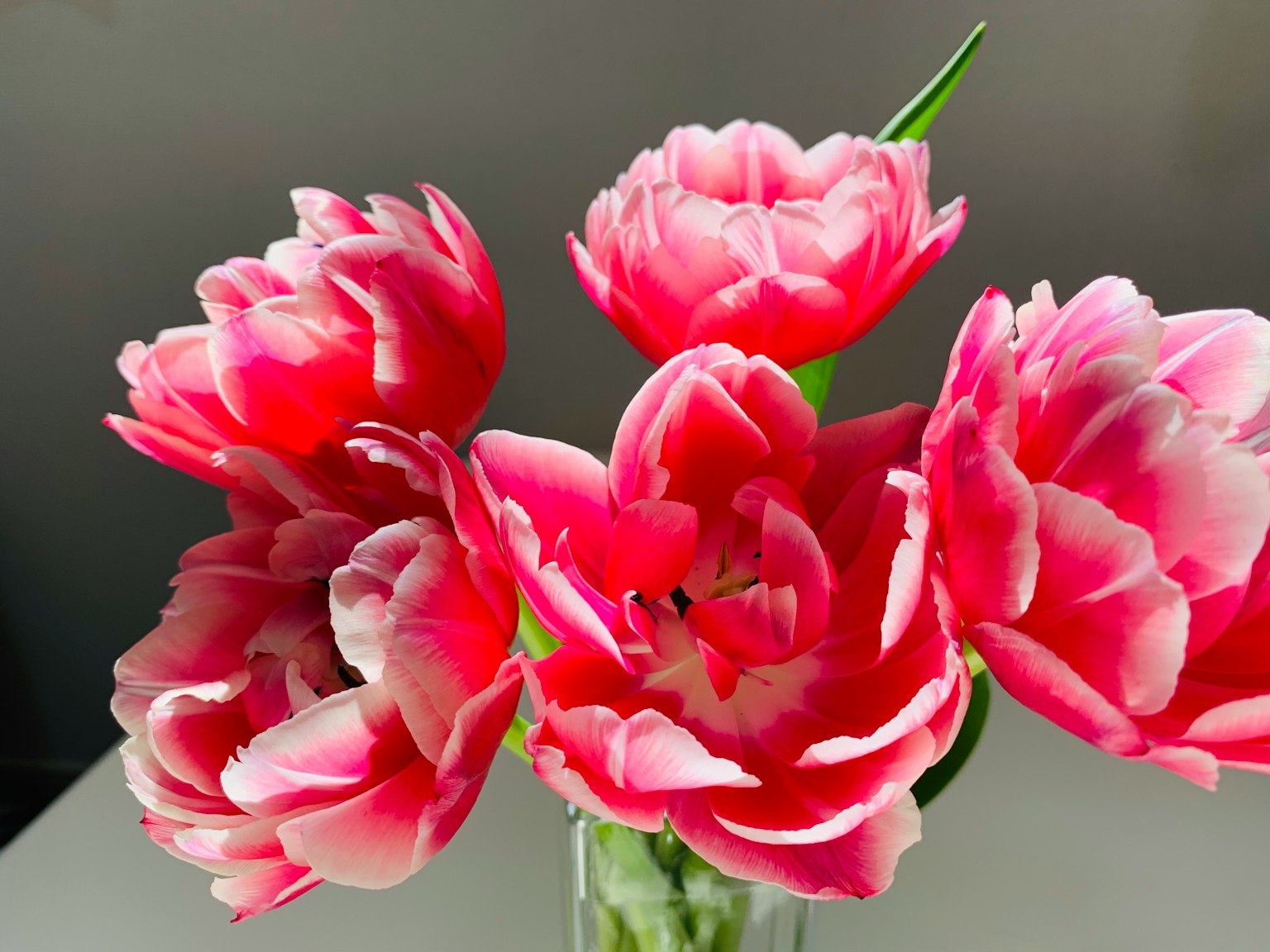Seikat bunga tulip pink dalam vas kaca