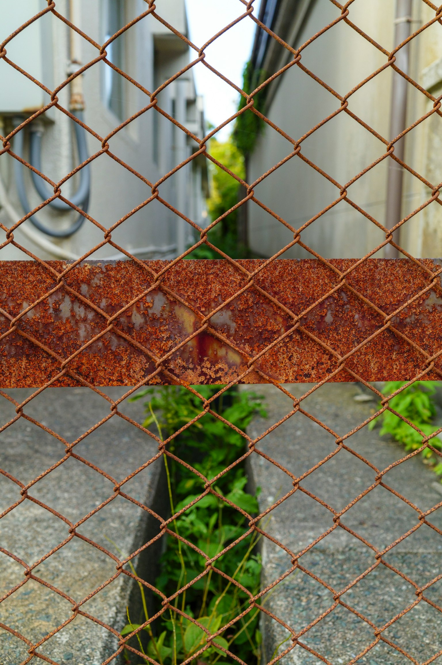 Lorong sempit dengan tanaman hijau yang terlihat melalui pagar berkarat tua