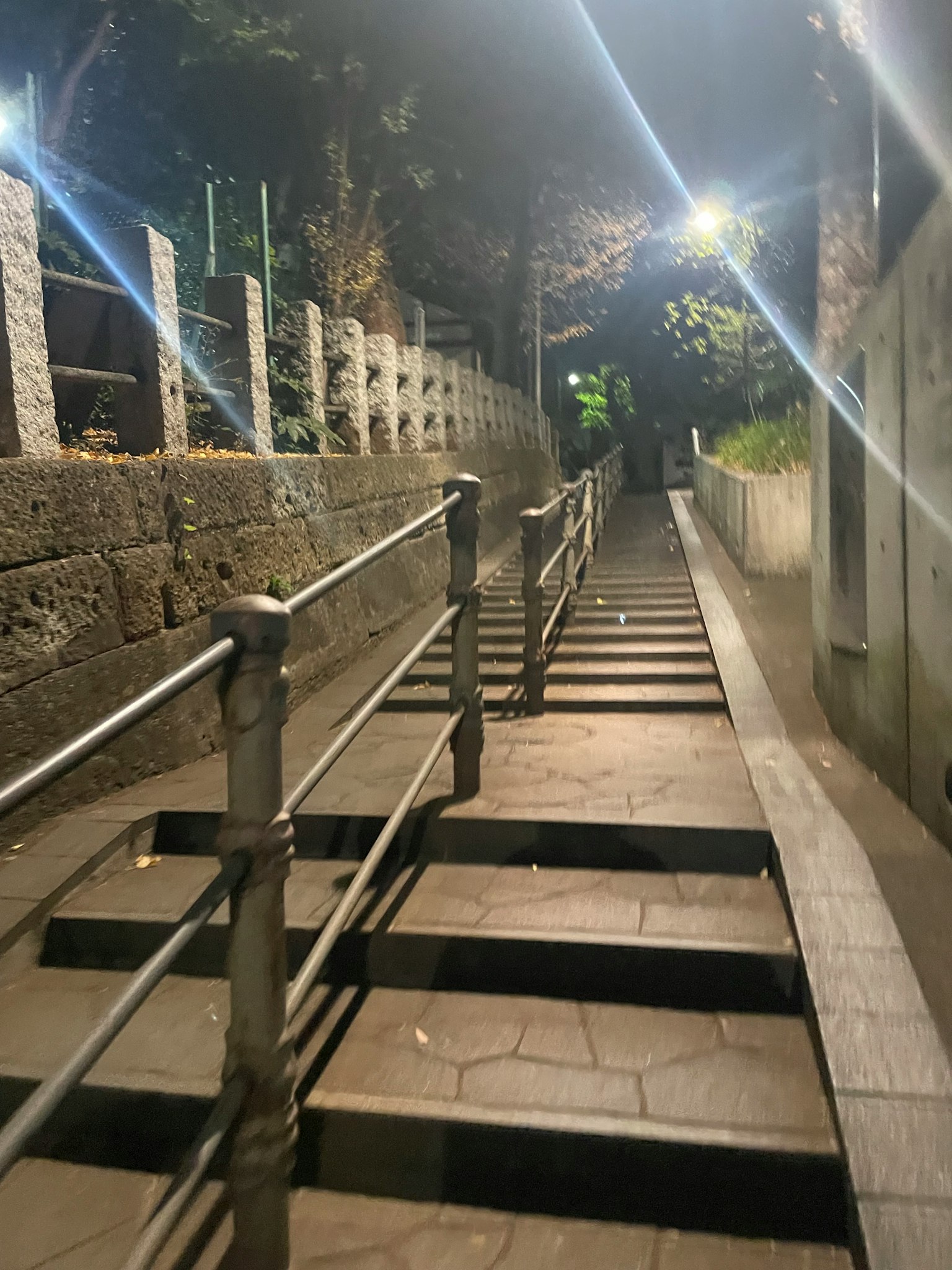 Vista nocturna de una escalera con barandillas y farolas