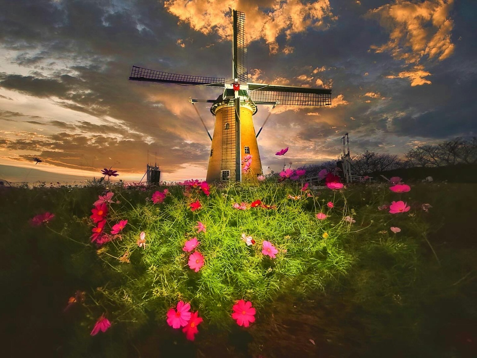 Un mulino circondato da fiori vivaci sotto un tramonto colorato