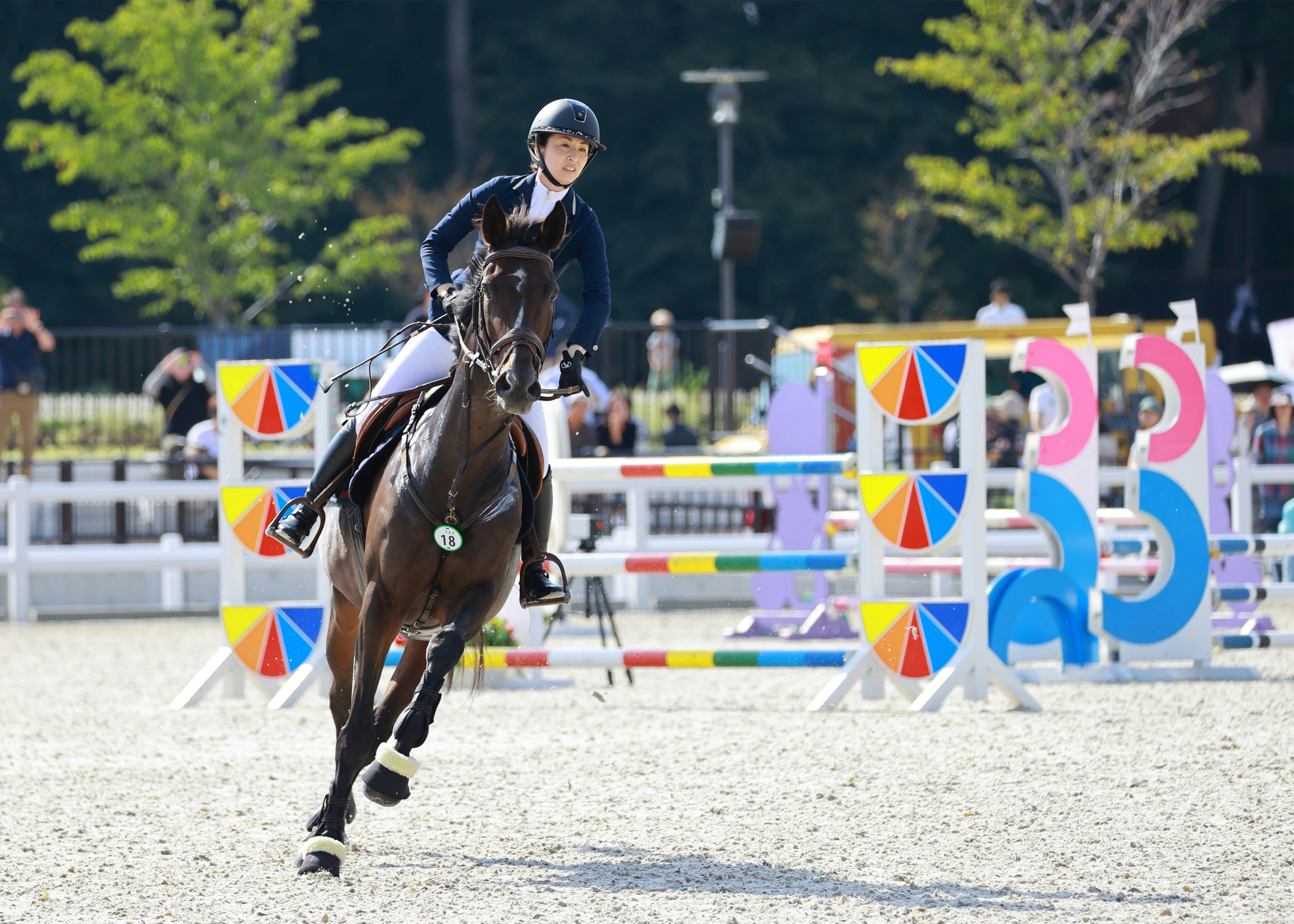 Springreiten: Reiter und Pferd springen über ein Hindernis