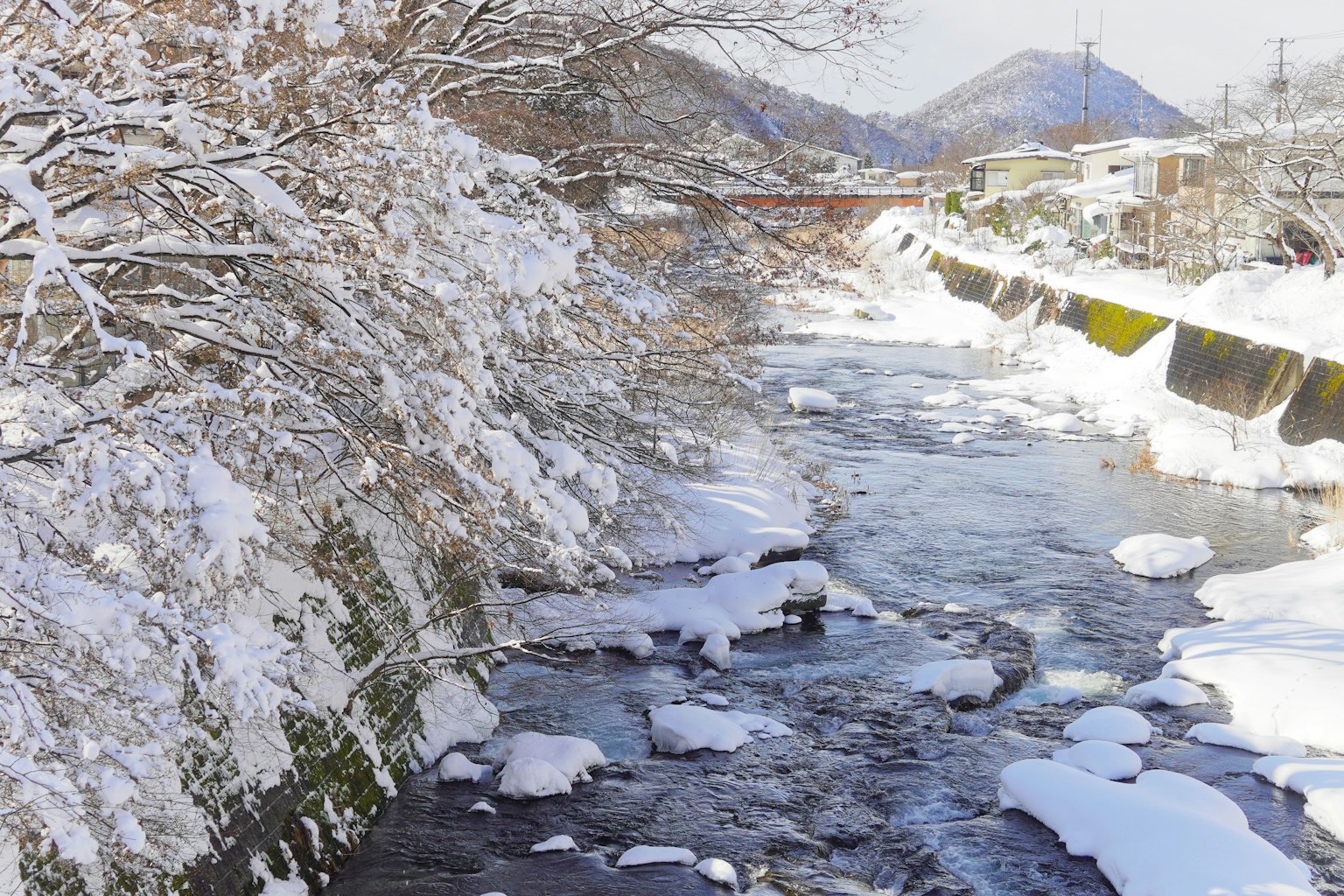 Paysage de rivière et d'arbres environnants couverts de neige