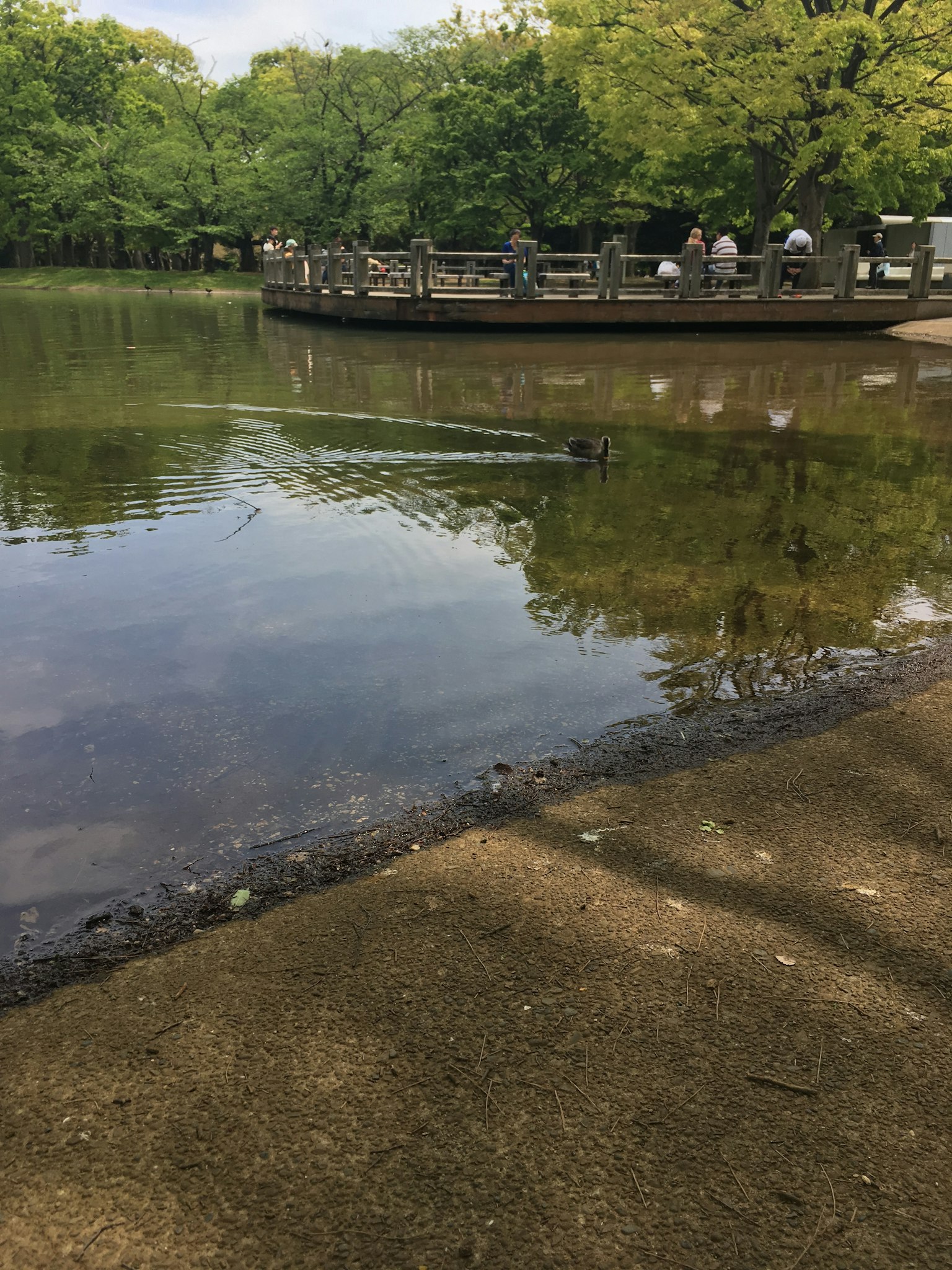 Ruhige Seeszene mit üppigem Grün und sichtbarem Dock