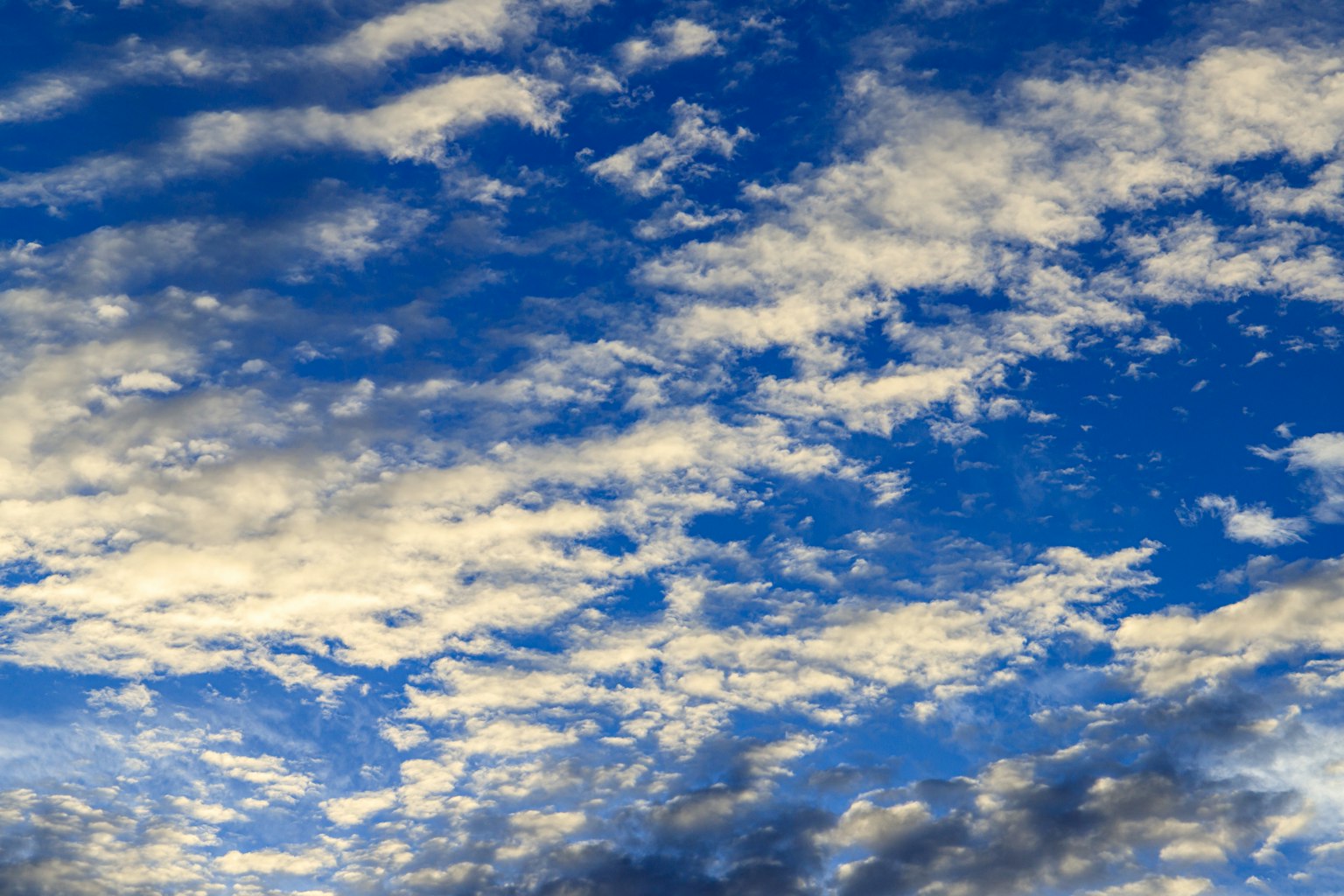 Un vaste ciel rempli de nuages blancs sur fond bleu
