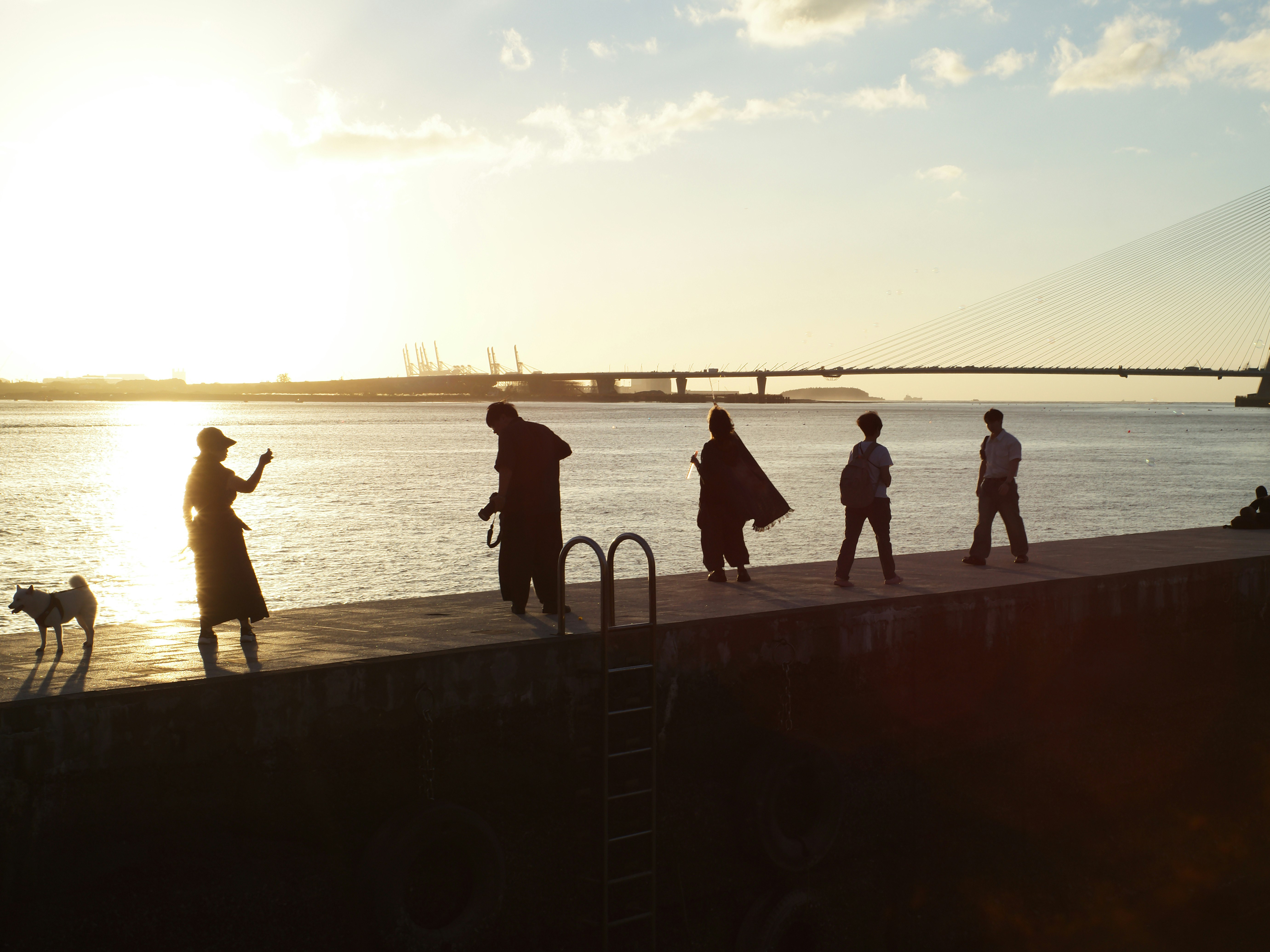 夕日に照らされた海辺の遊歩道を歩く人々
