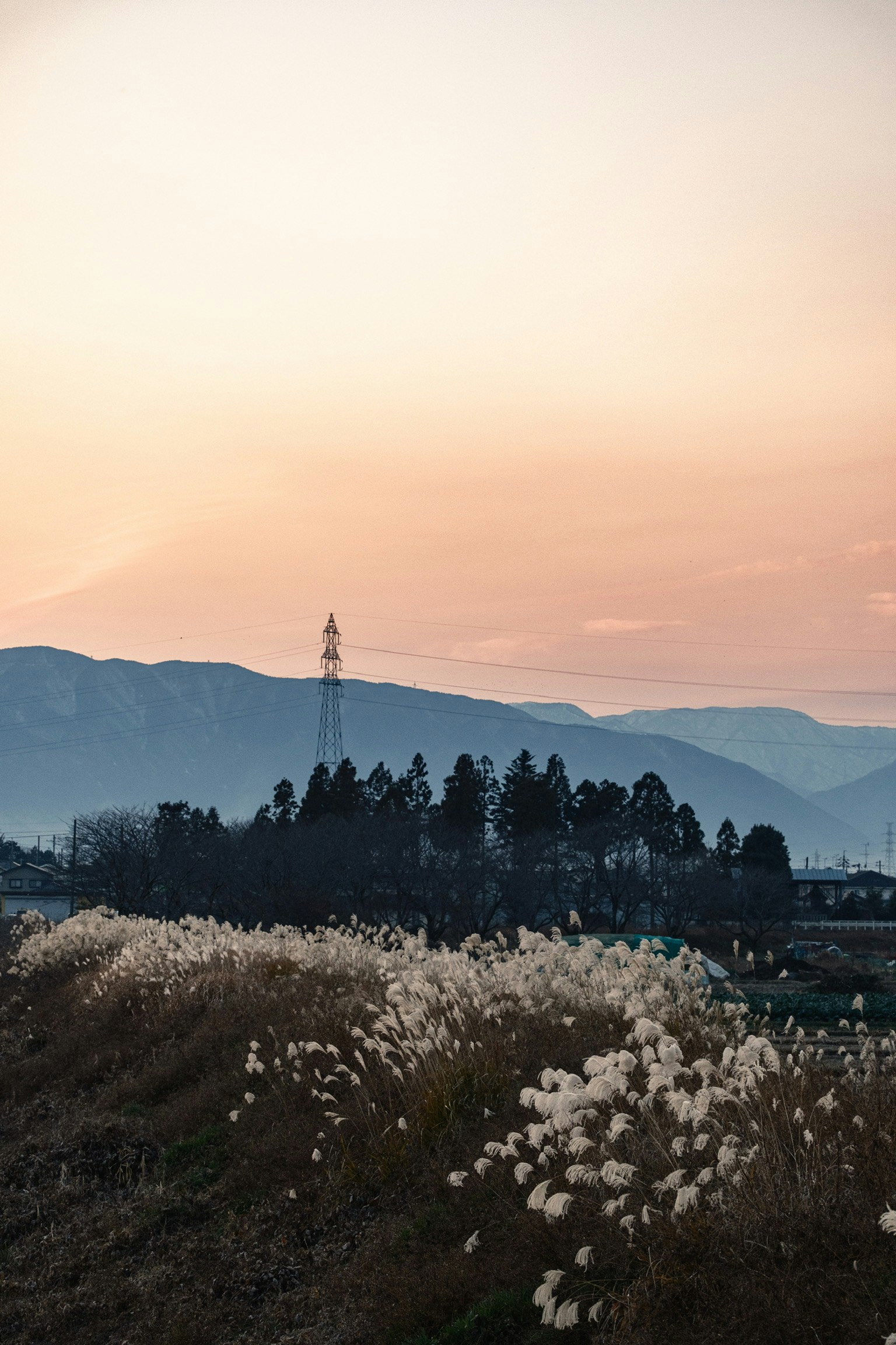 일몰 하늘을 배경으로 한 산의 실루엣과 풀밭