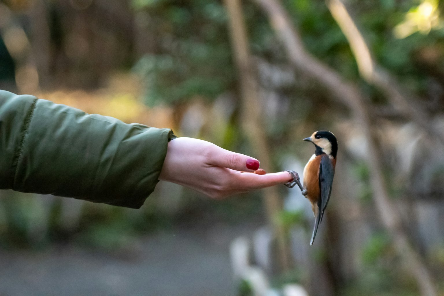 Un bel uccello appollaiato sulla mano di una persona