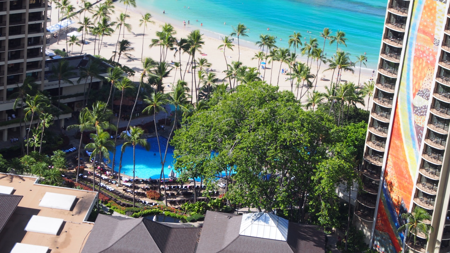 Panoramic view of a resort area featuring blue ocean and white sandy beach Pool surrounded by palm trees