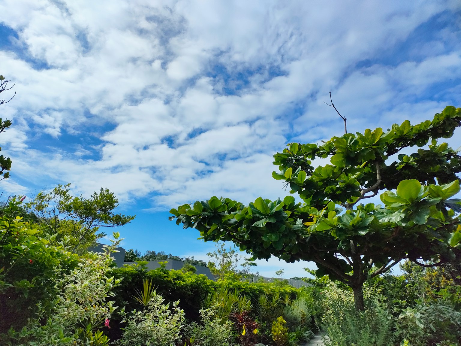 Una escena de jardín vibrante con árboles verdes flores coloridas y un cielo azul lleno de nubes blancas