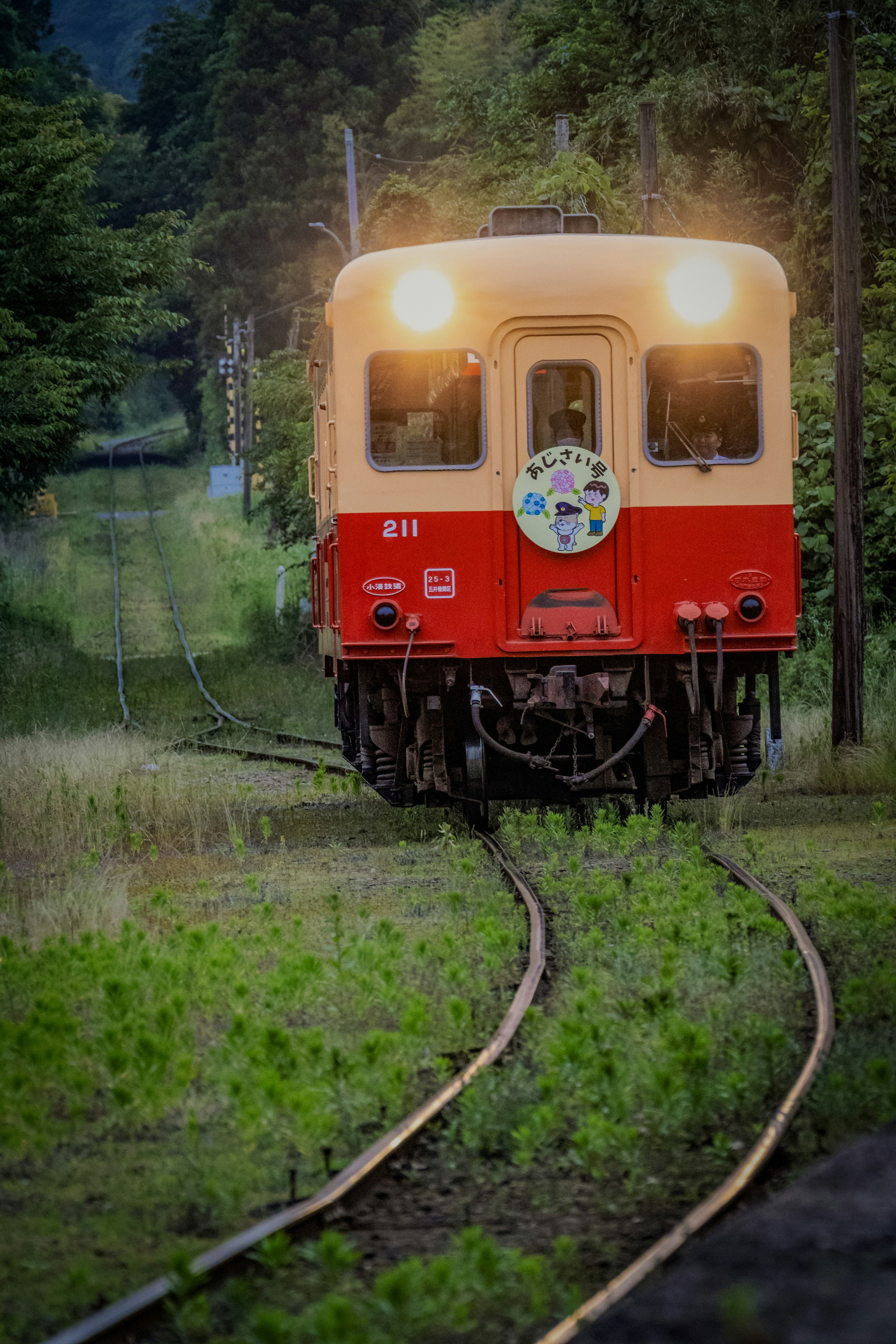 緑の風景の中を走る赤い列車の前面が見える