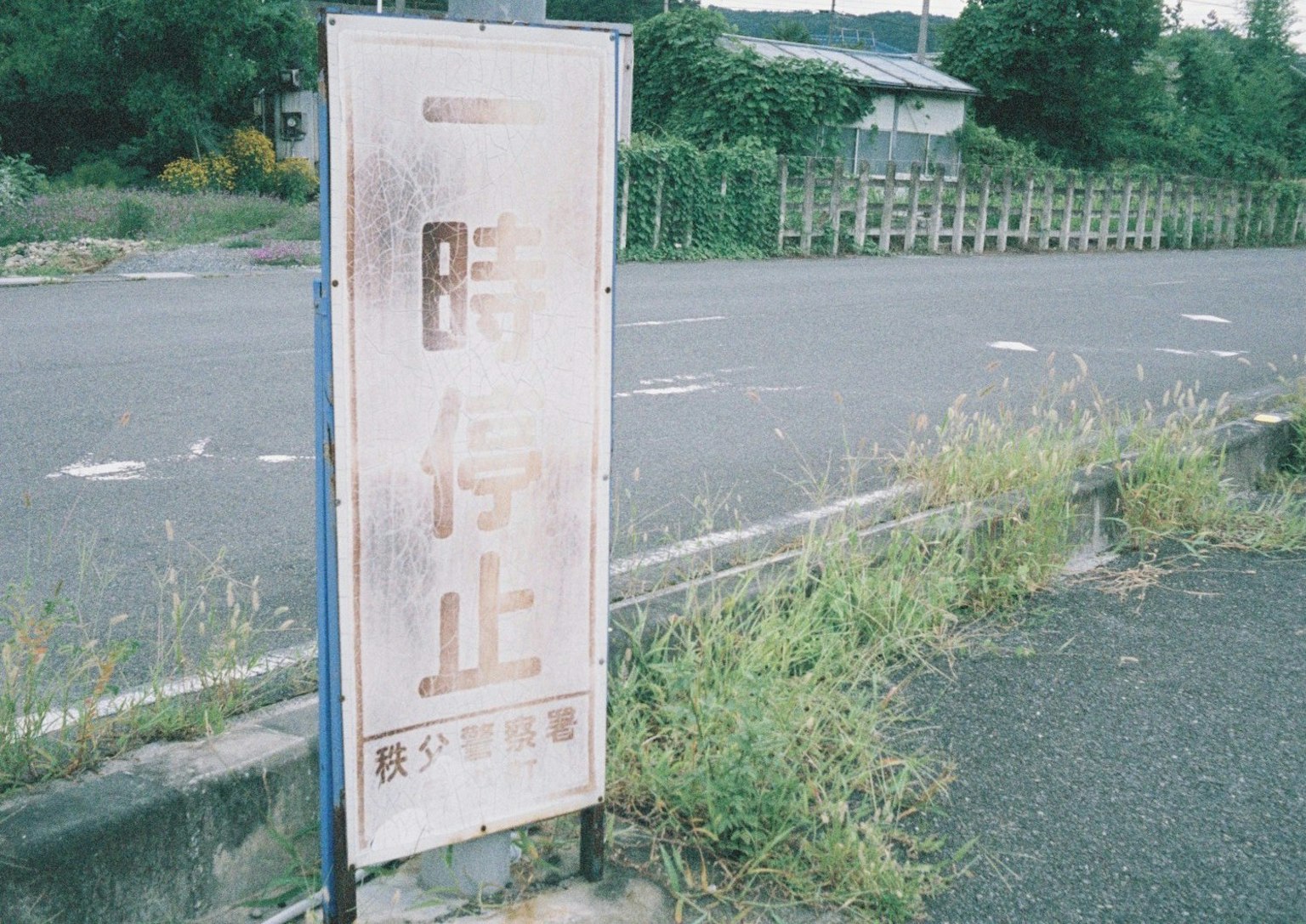 風化的停車標誌與周圍綠化
