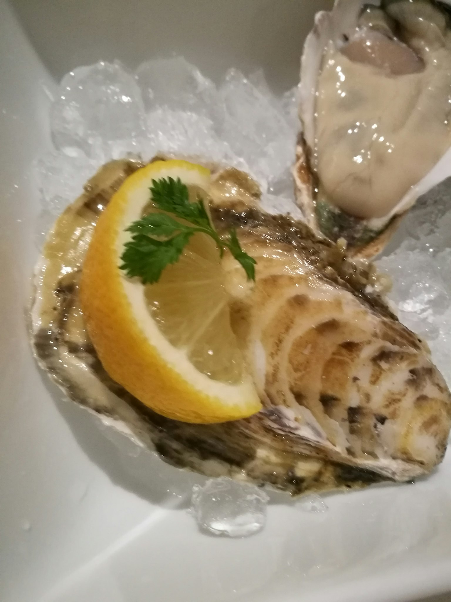 Fresh oyster on ice garnished with lemon and parsley