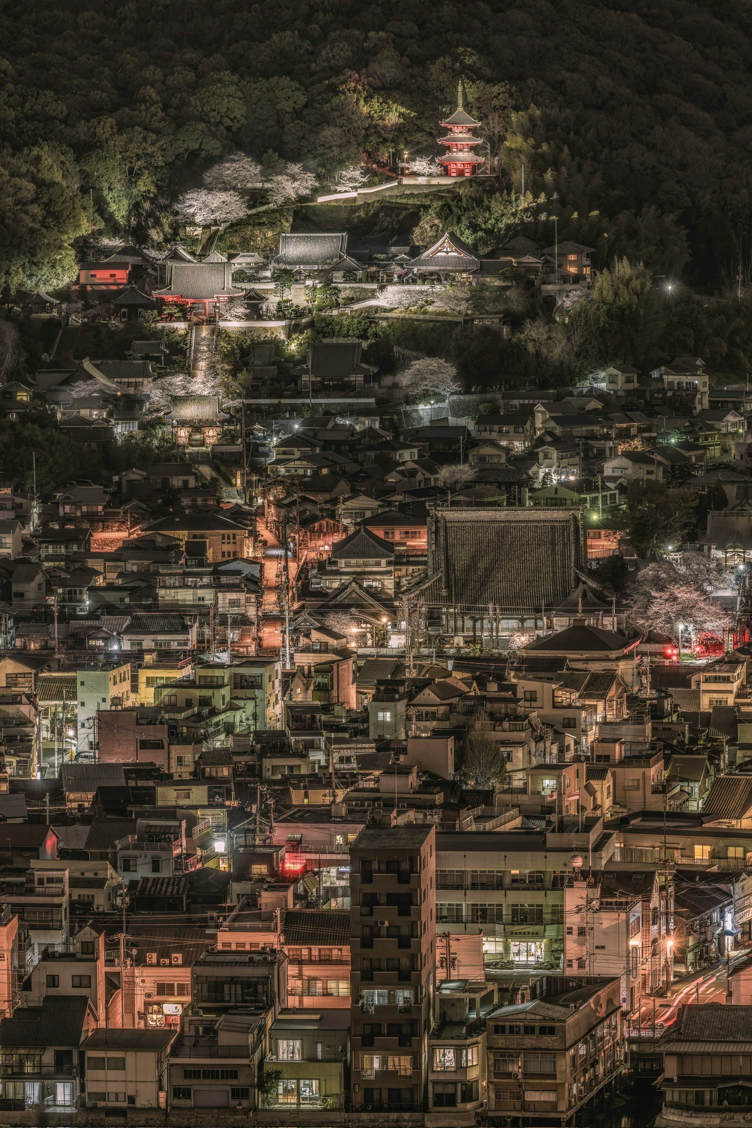 Night view of Kyoto cityscape with illuminated temples and houses