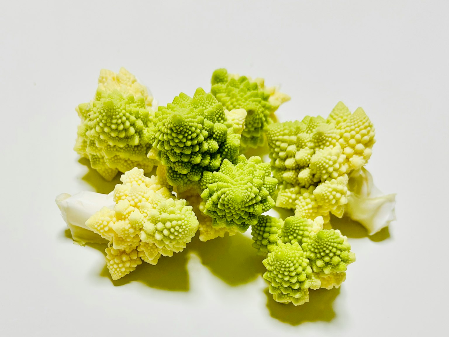 Một cụm hoa romanesco với màu xanh sáng và màu kem