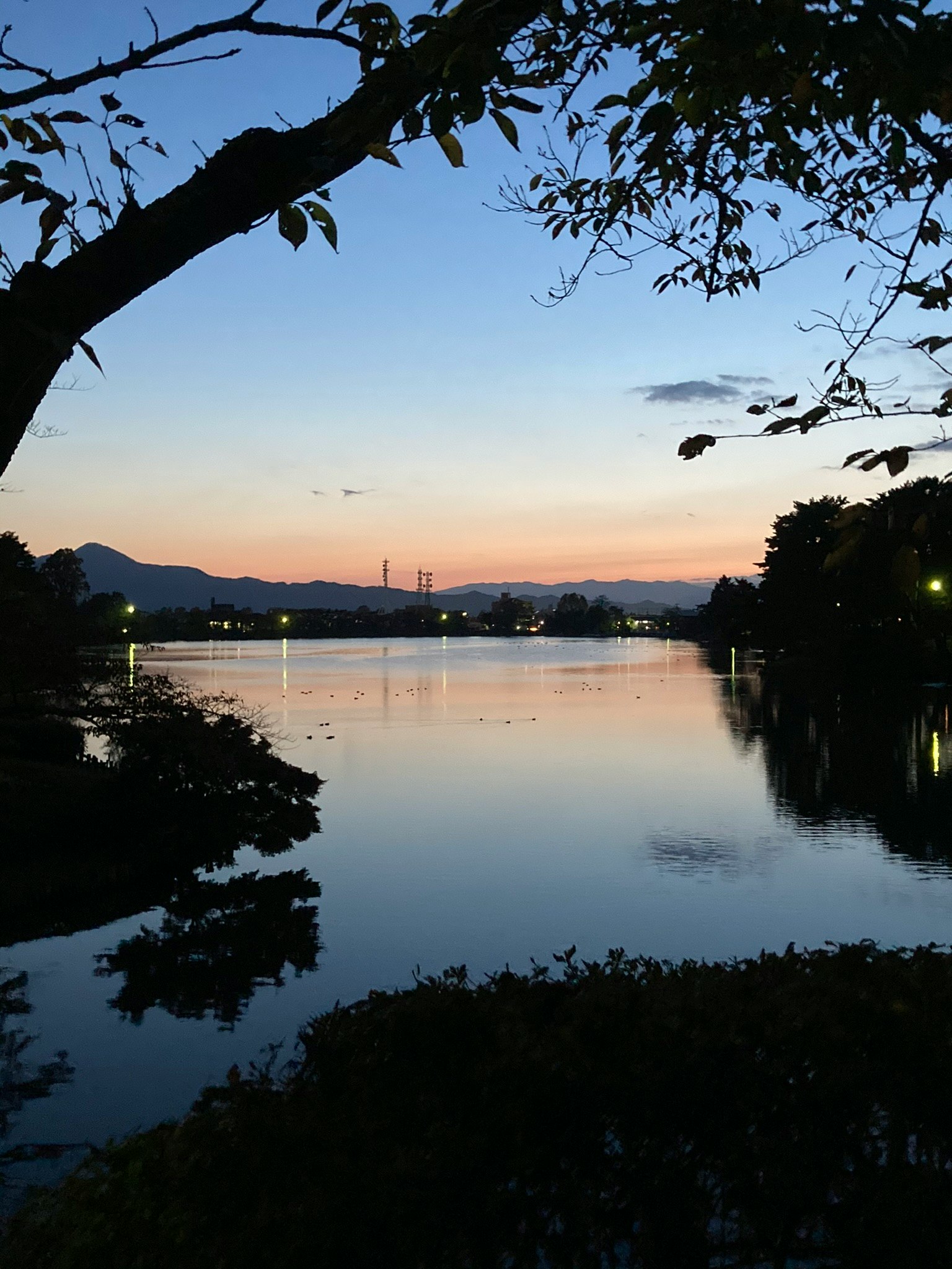 Silhouette of trees framing a lake at sunset