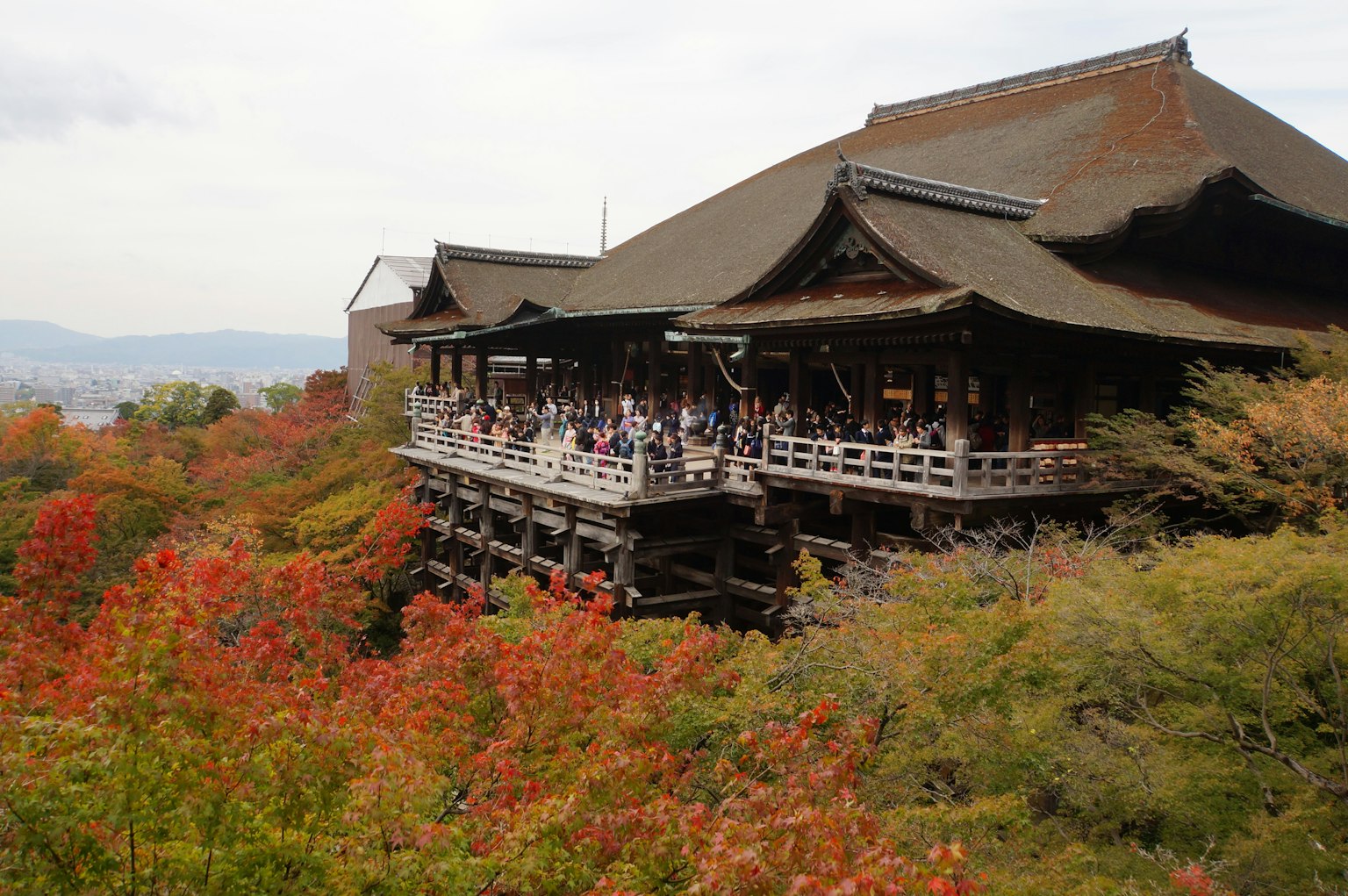 Palco del tempio Kiyomizu-dera circondato da foglie autunnali e visitatori