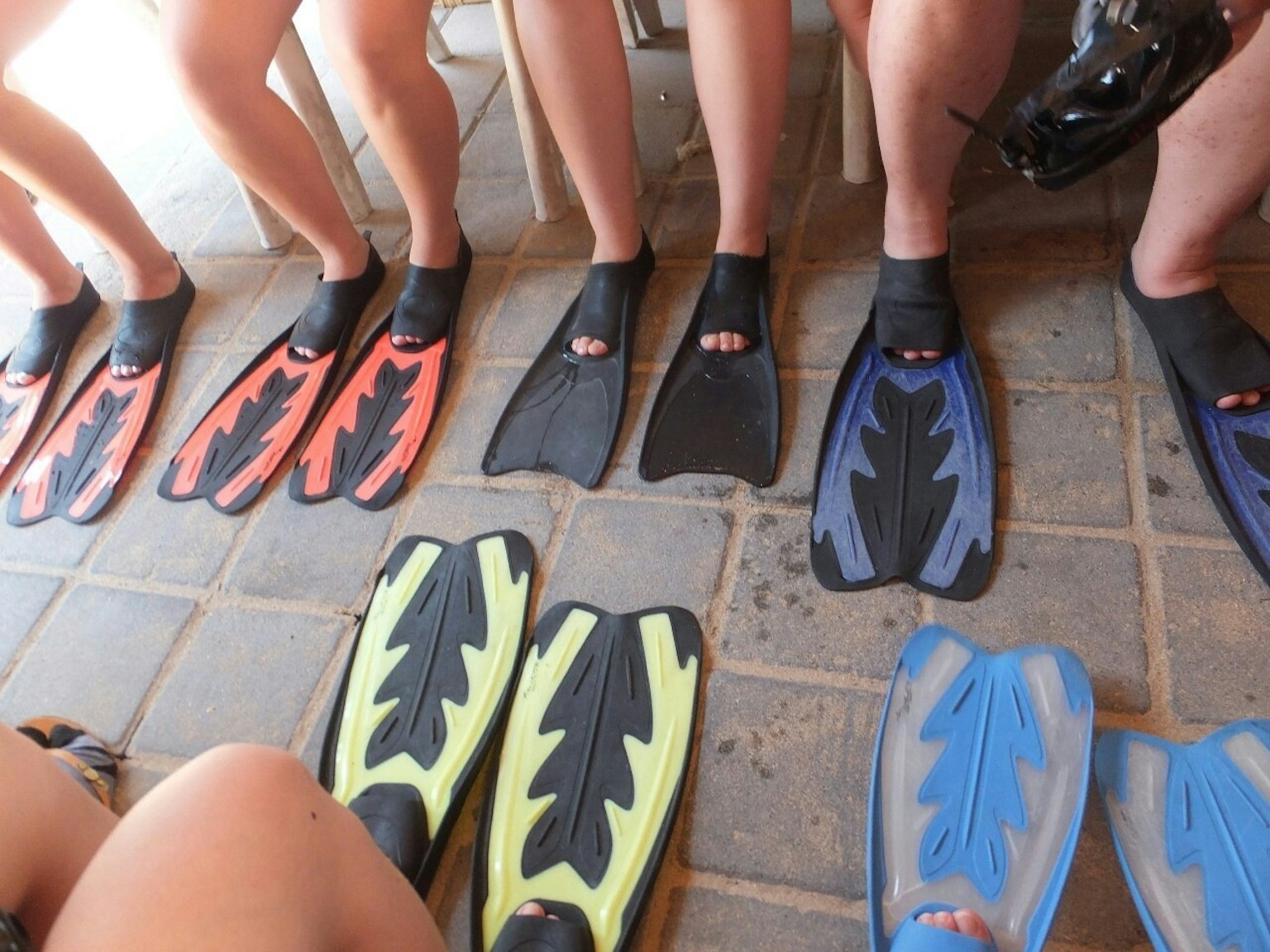 Palmes colorées alignées aux pieds de personnes assises sur une plage