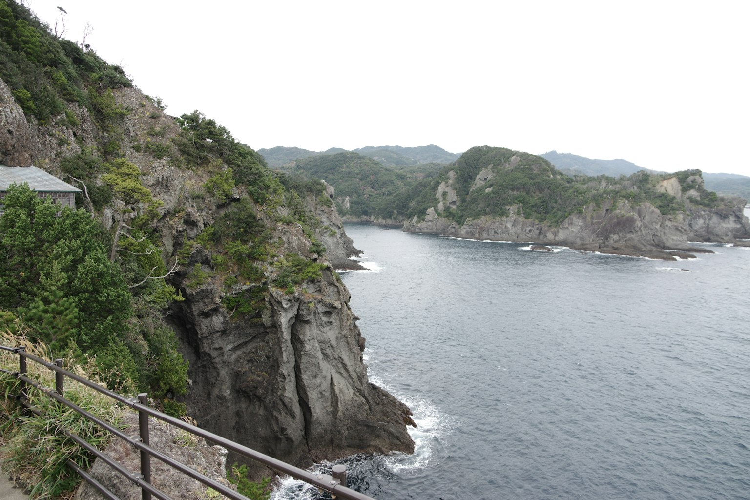 Scogliere costiere con vegetazione che sovrasta il mare