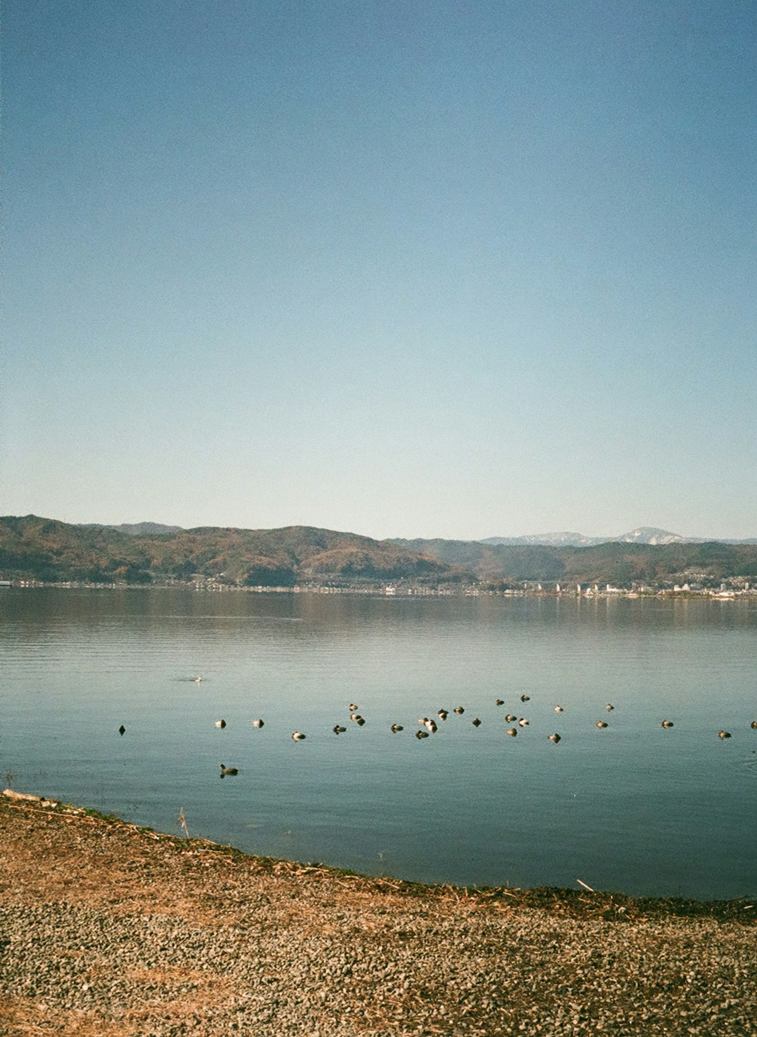 Vista calma del lago con uccelli galleggianti e montagne lontane