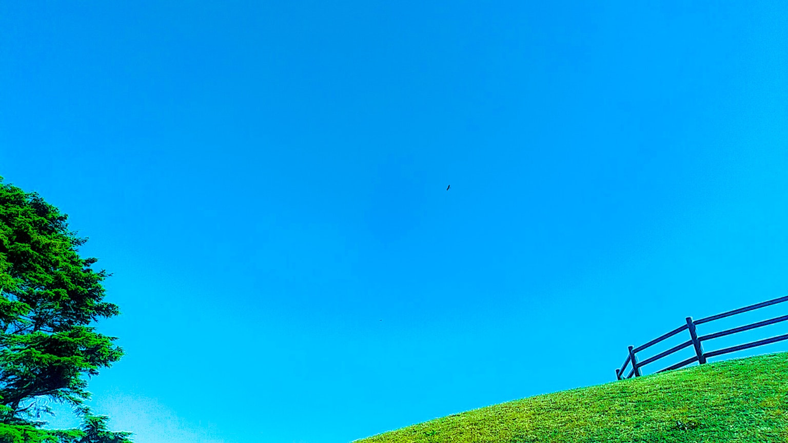 Un paisaje con cielo azul y colina verde con un árbol y una cerca
