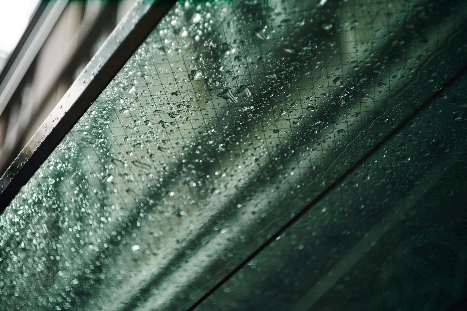 Close-up of green surface with raindrops