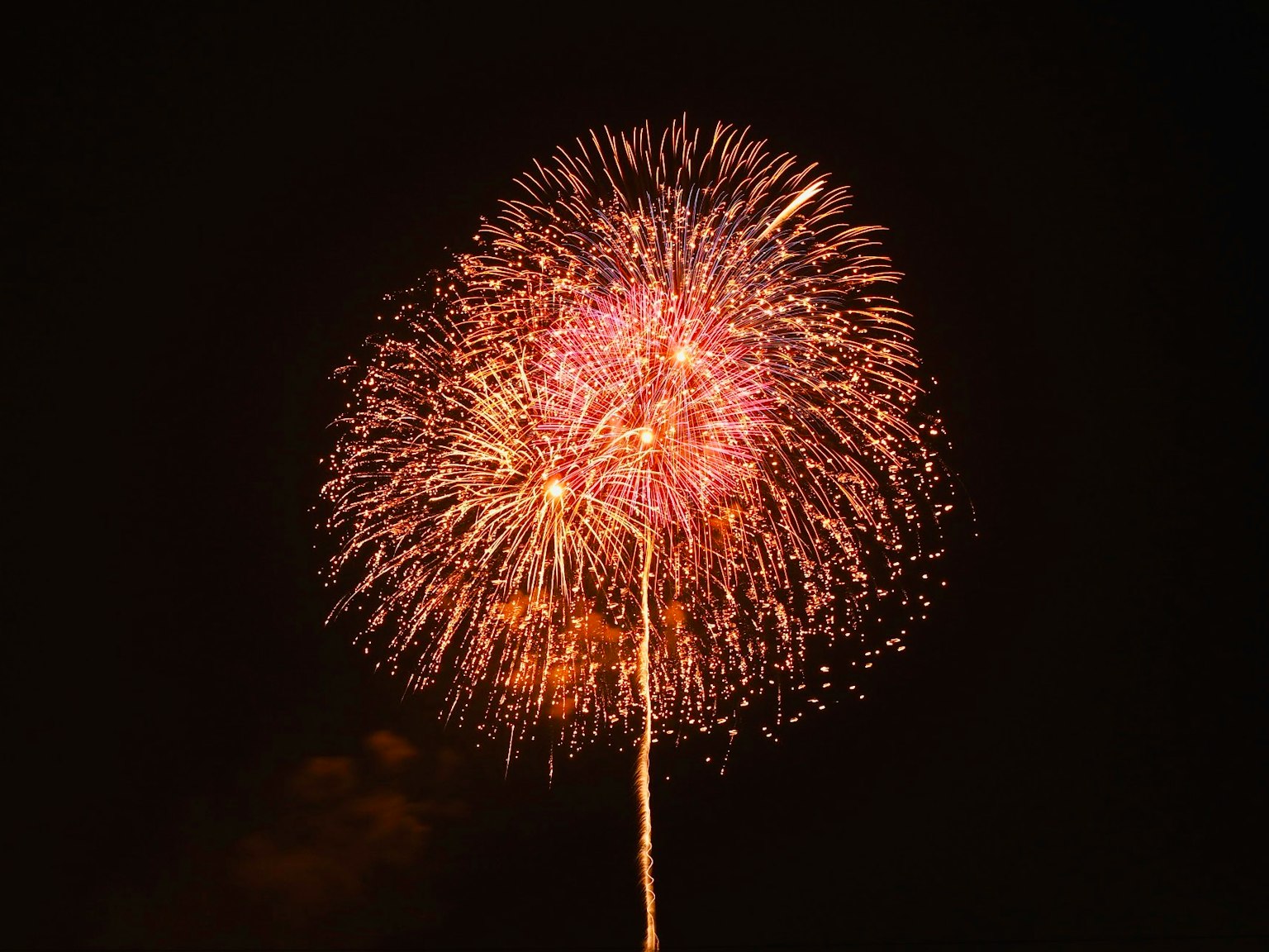 Espectáculo de fuegos artificiales vibrantes en el cielo nocturno con patrones coloridos