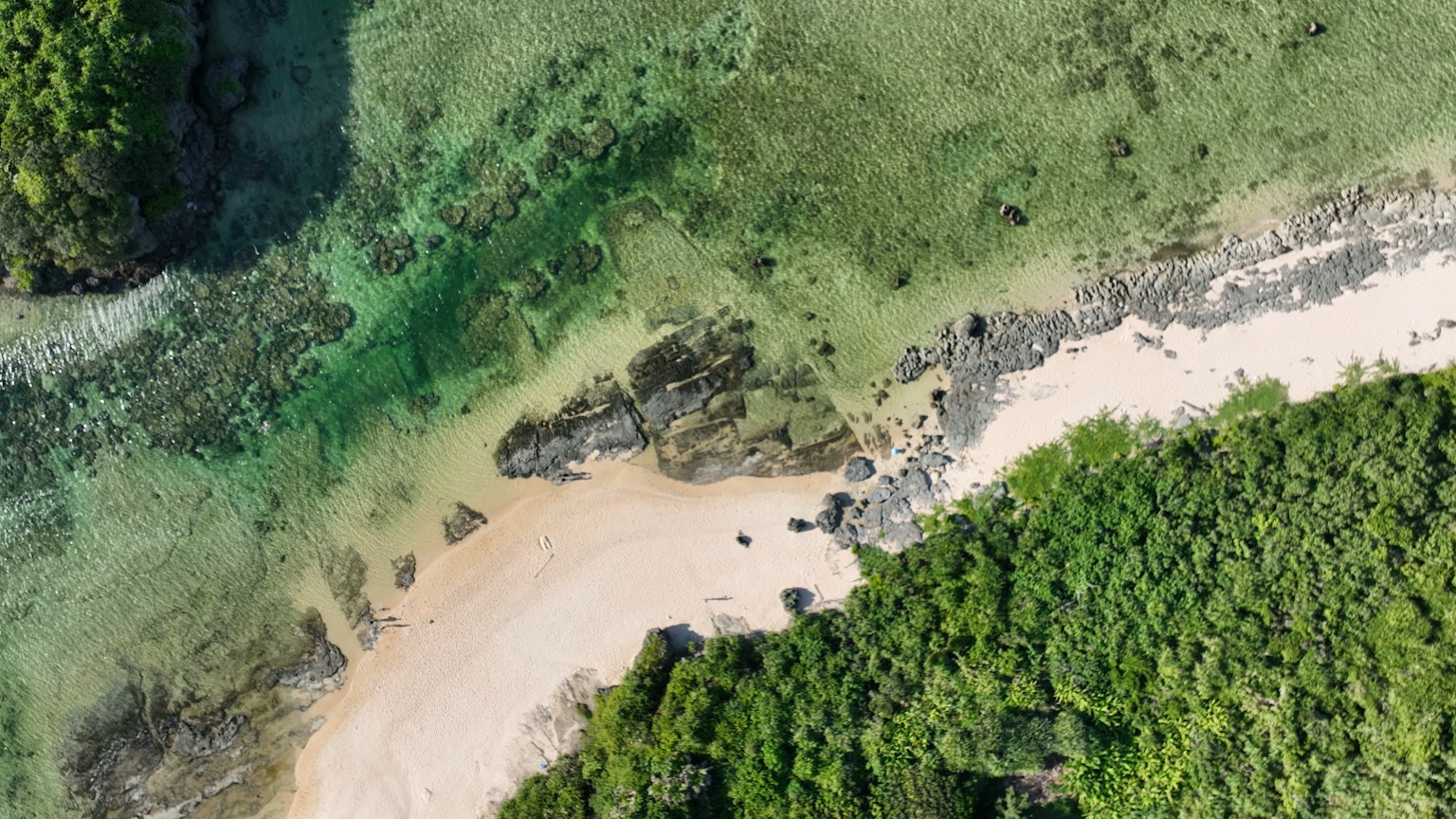 Vista aérea de una playa con aguas verdes y orilla de arena