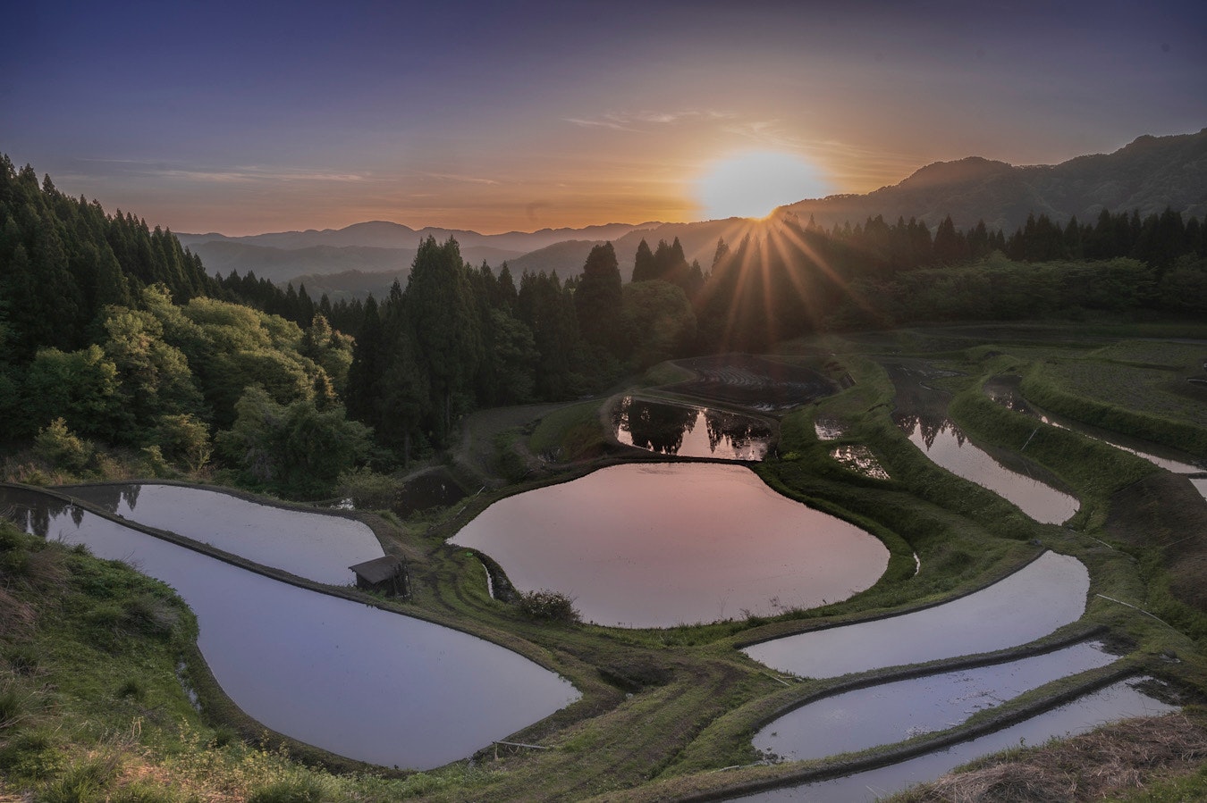 Sunrise reflections across terraced rice paddies with water surfaces