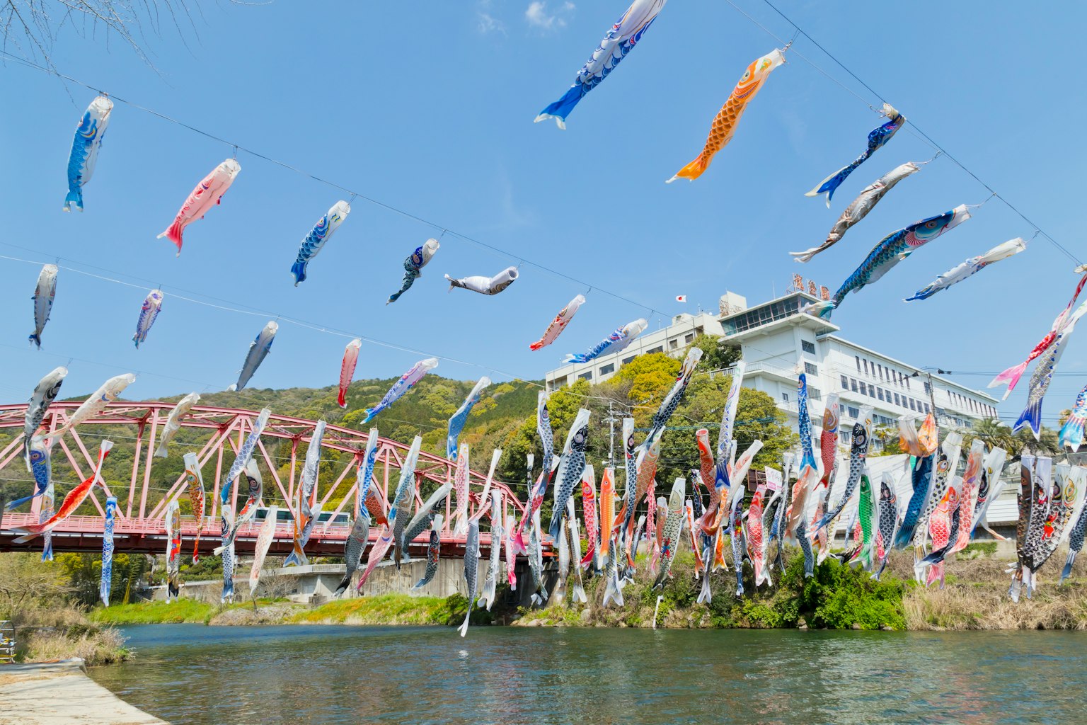 五彩的锦鲤旗帜在河上飘扬，背景是桥