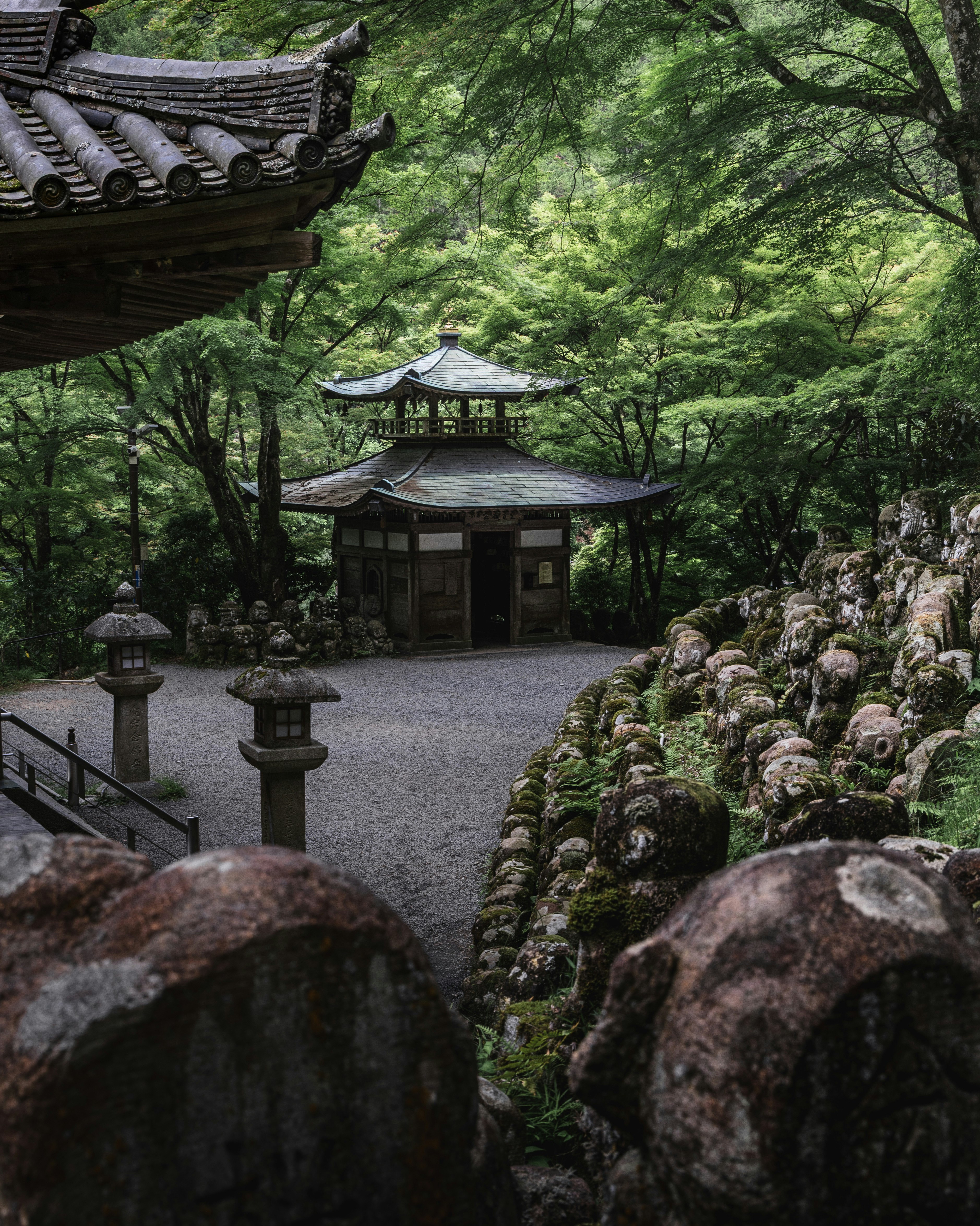 Mossy stone path and temple buildings surrounded by trees