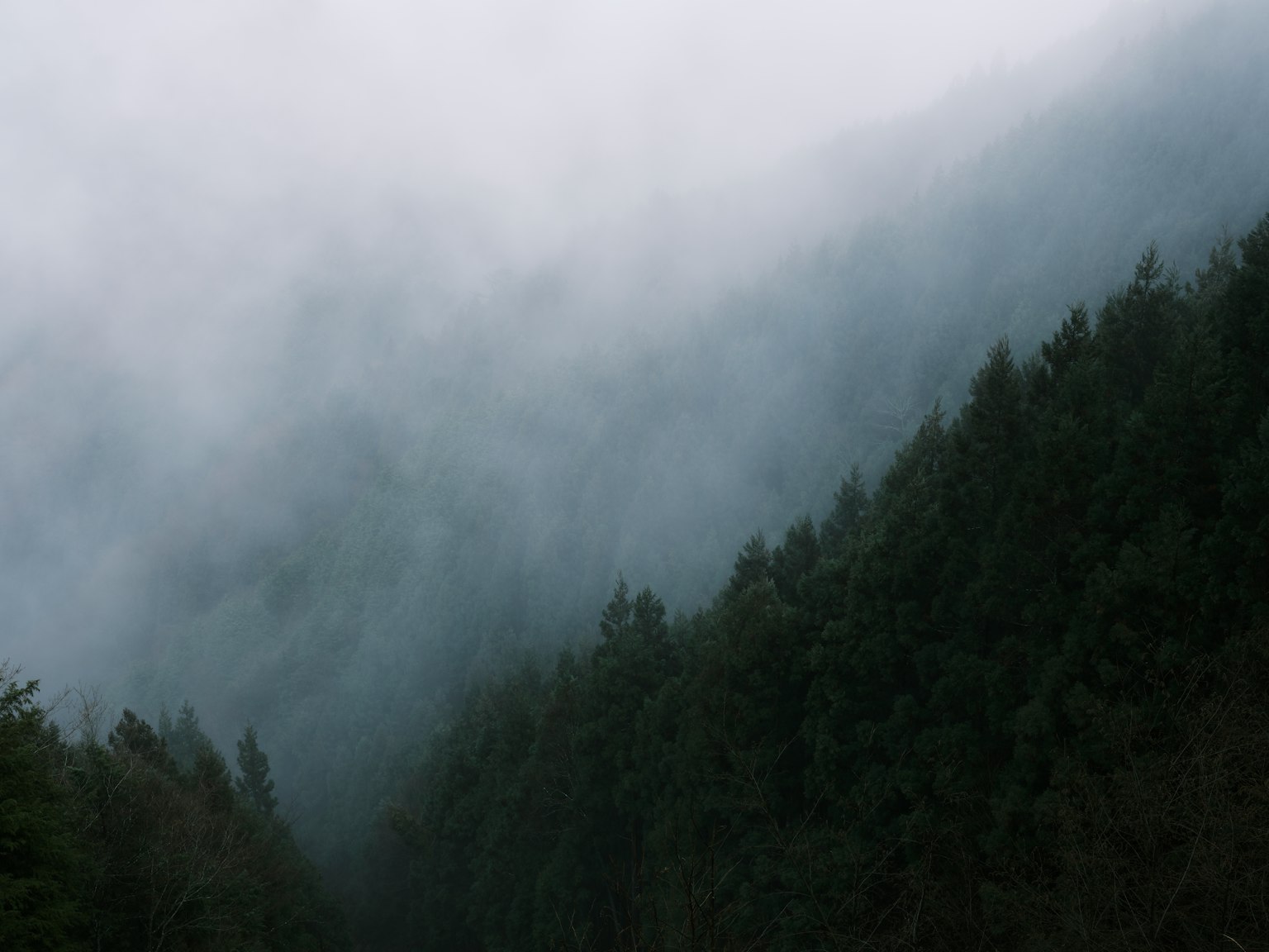 photo-Edo7QdWb8Tz0L61spq2b-image