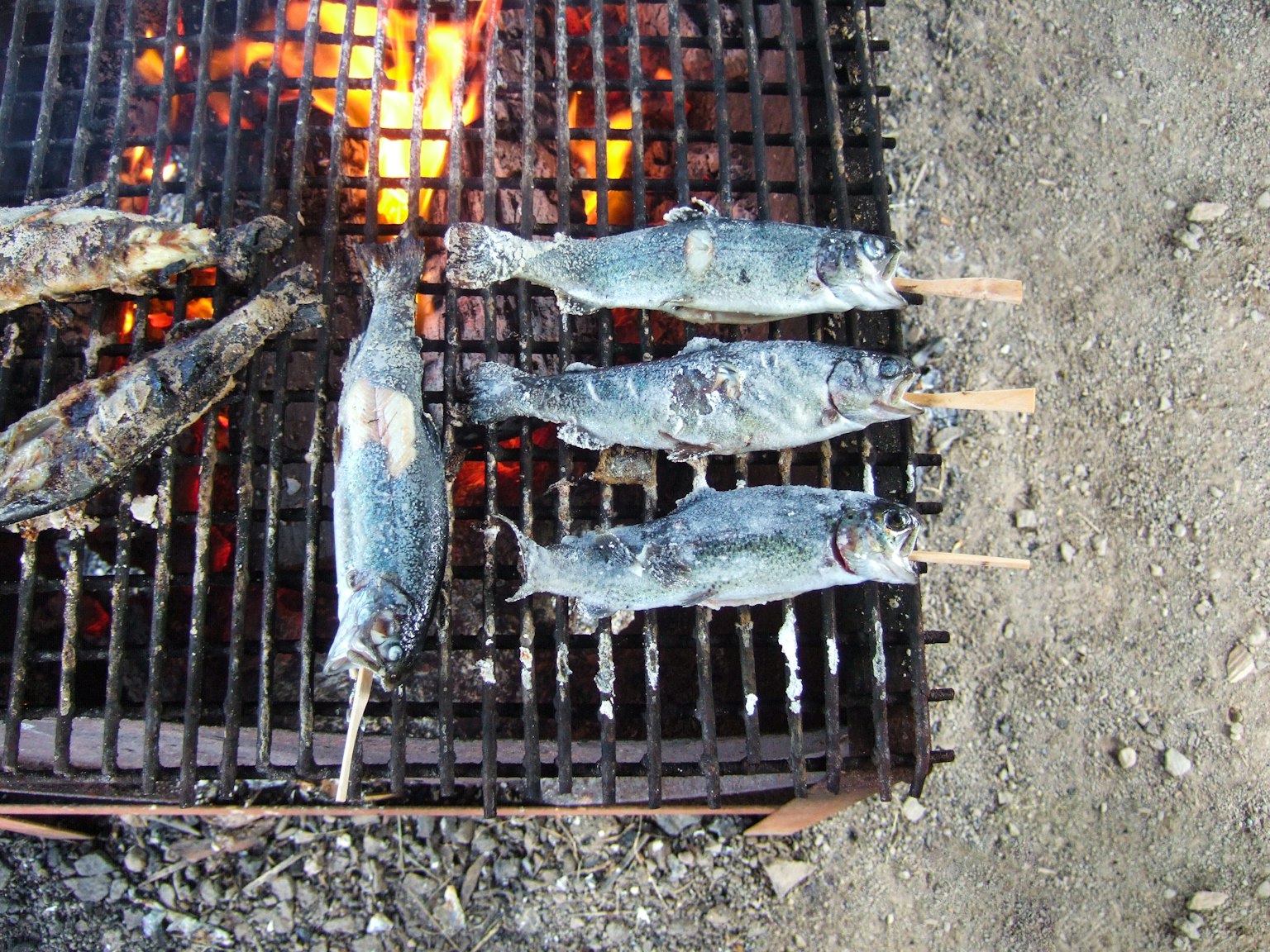 Grilled fish skewers cooking over an open flame on a metal grate