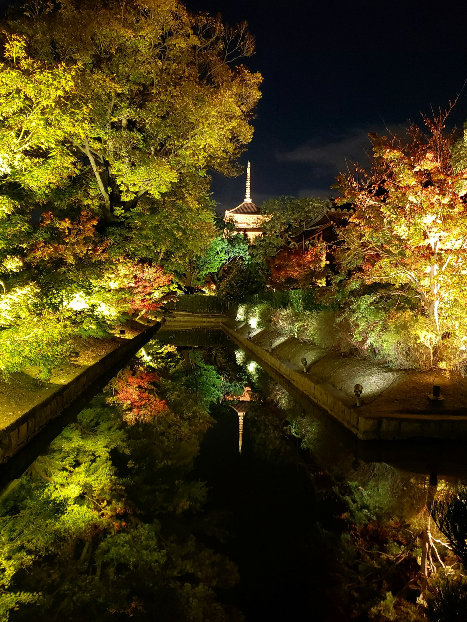 Vue nocturne d'un étang de jardin avec des feuilles colorées et des arbres illuminés