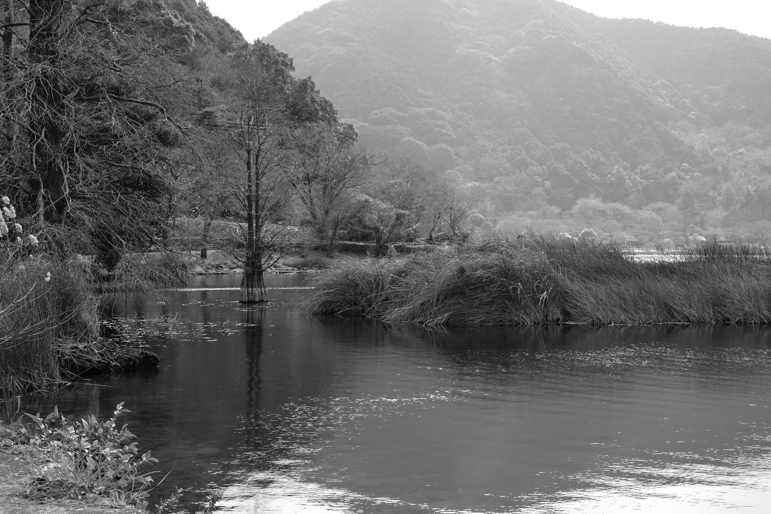 Un paesaggio di lago tranquillo e montagna in bianco e nero
