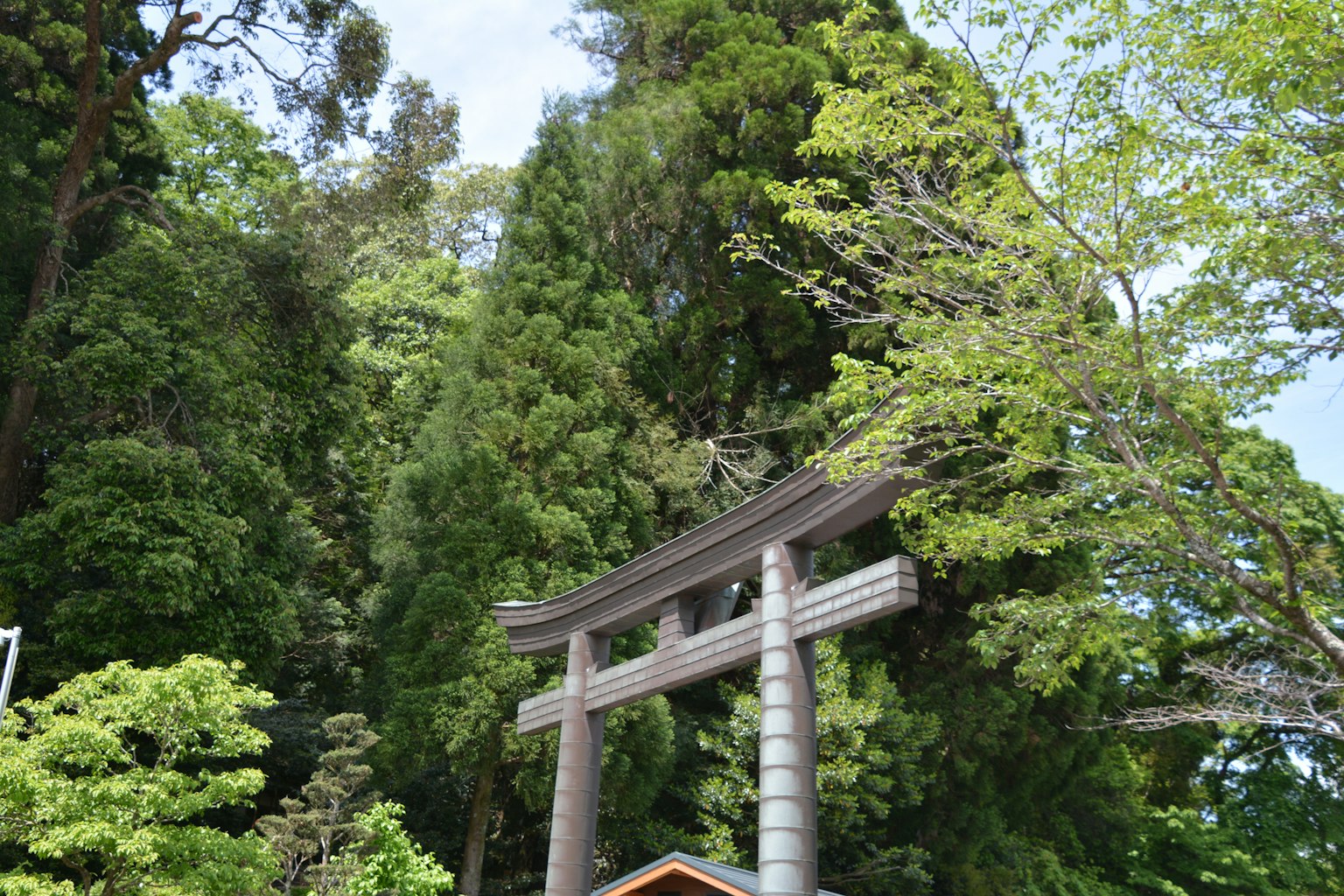 Cảnh quan đẹp của cổng torii được bao quanh bởi cây cao