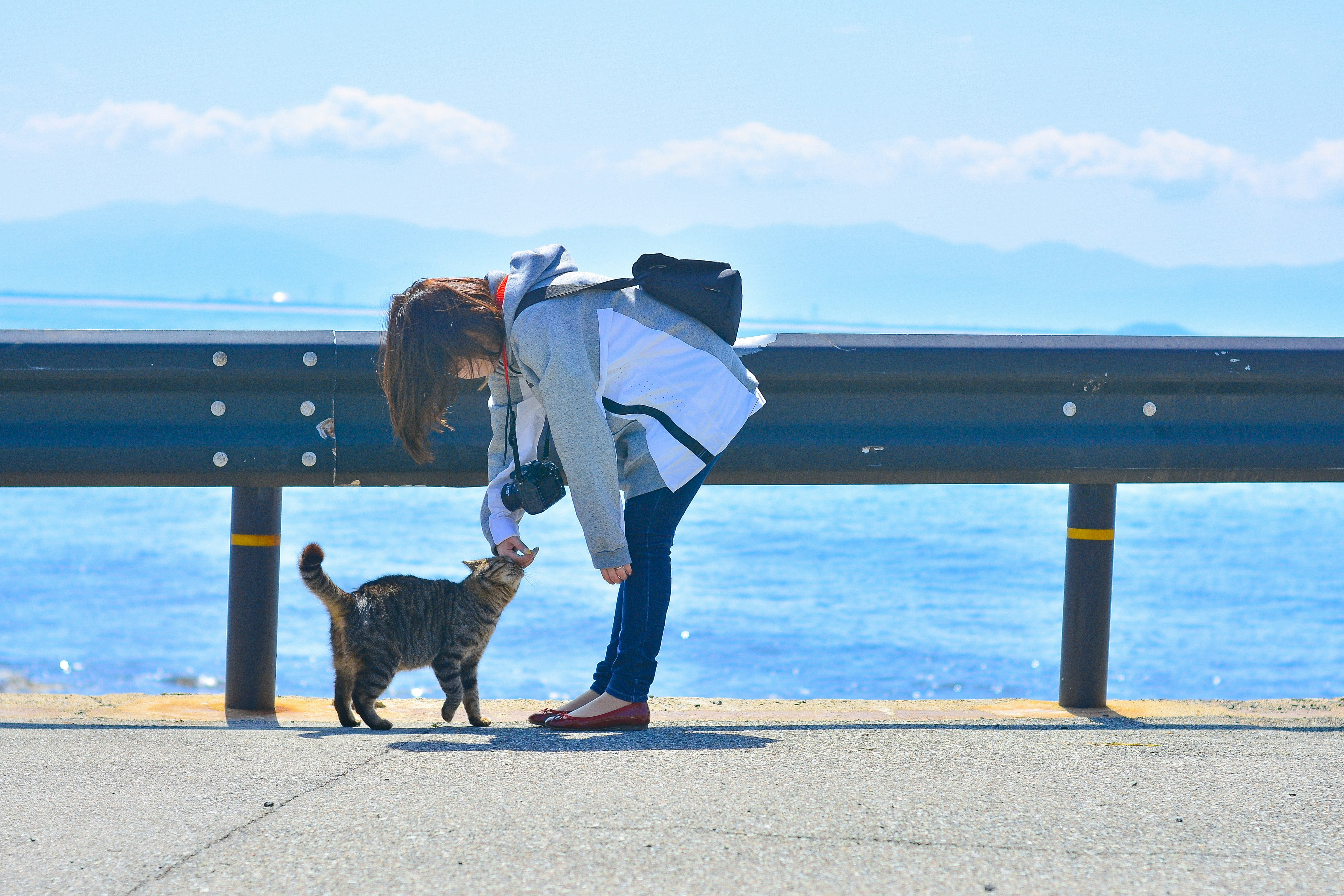 海辺のベンチで猫と遊ぶ人