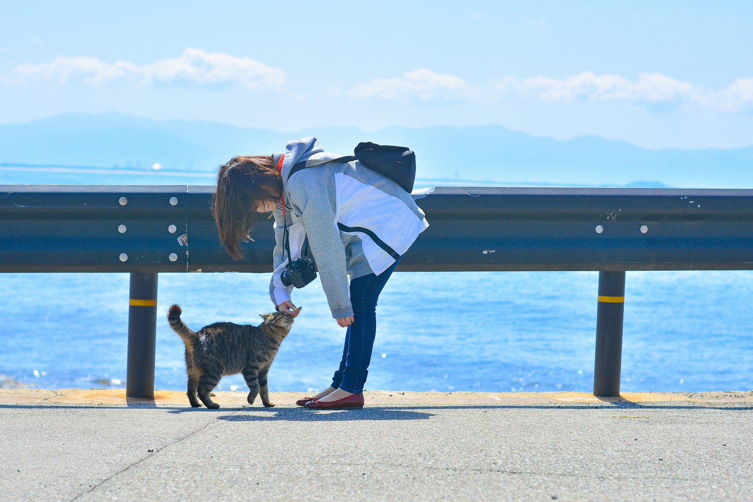 Eine Frau, die sich einem Kater nähert, mit Meer und Bergen im Hintergrund