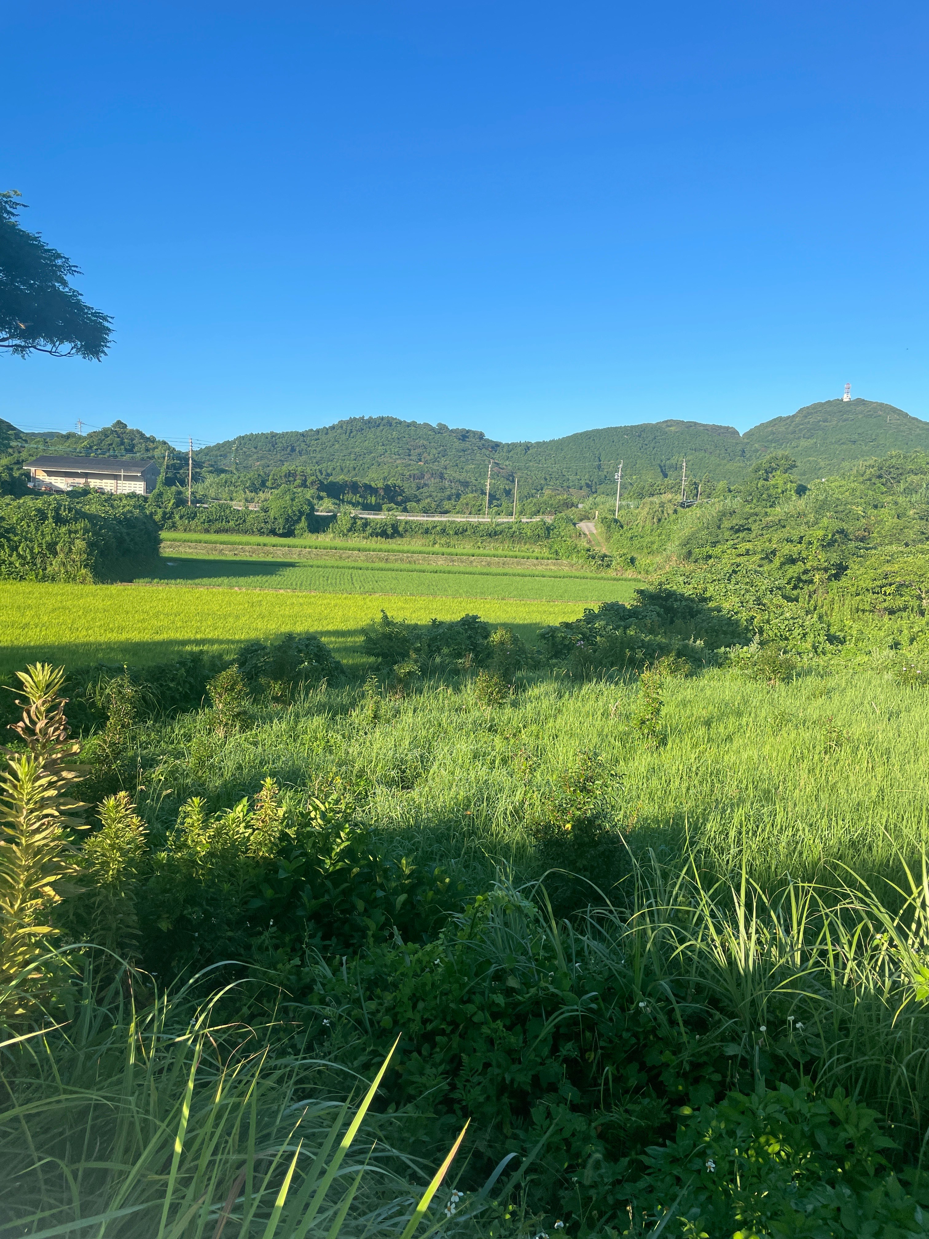蓝天下的绿色田野与山脊景观
