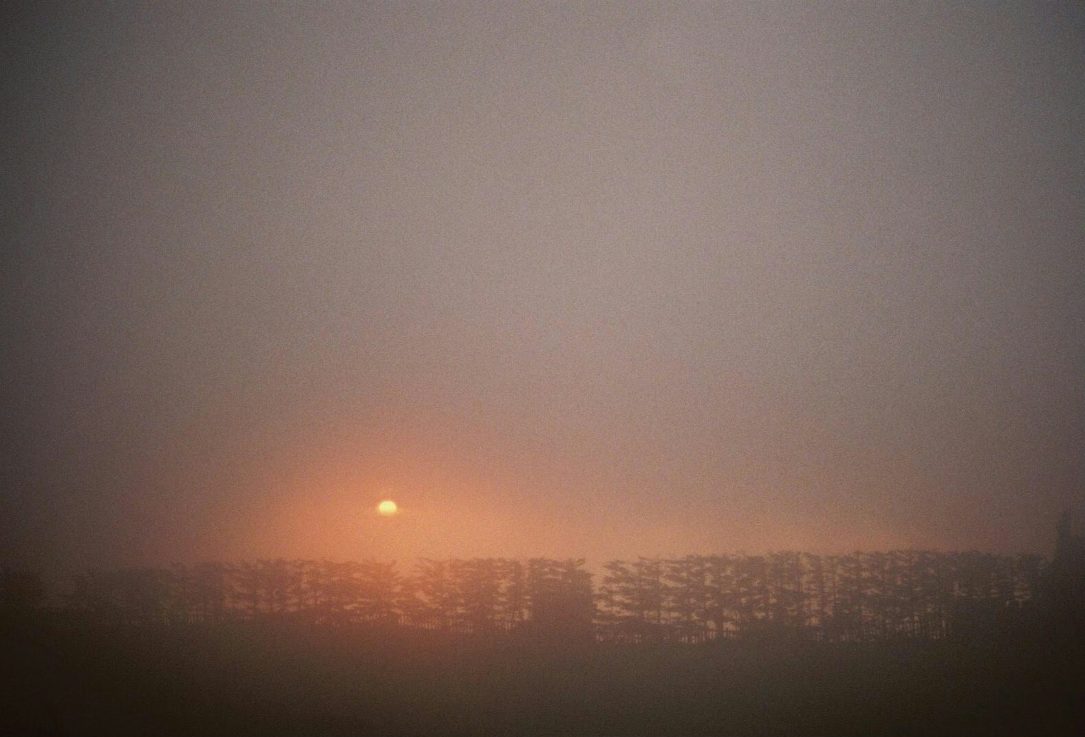 Sunset through fog with silhouetted landscape