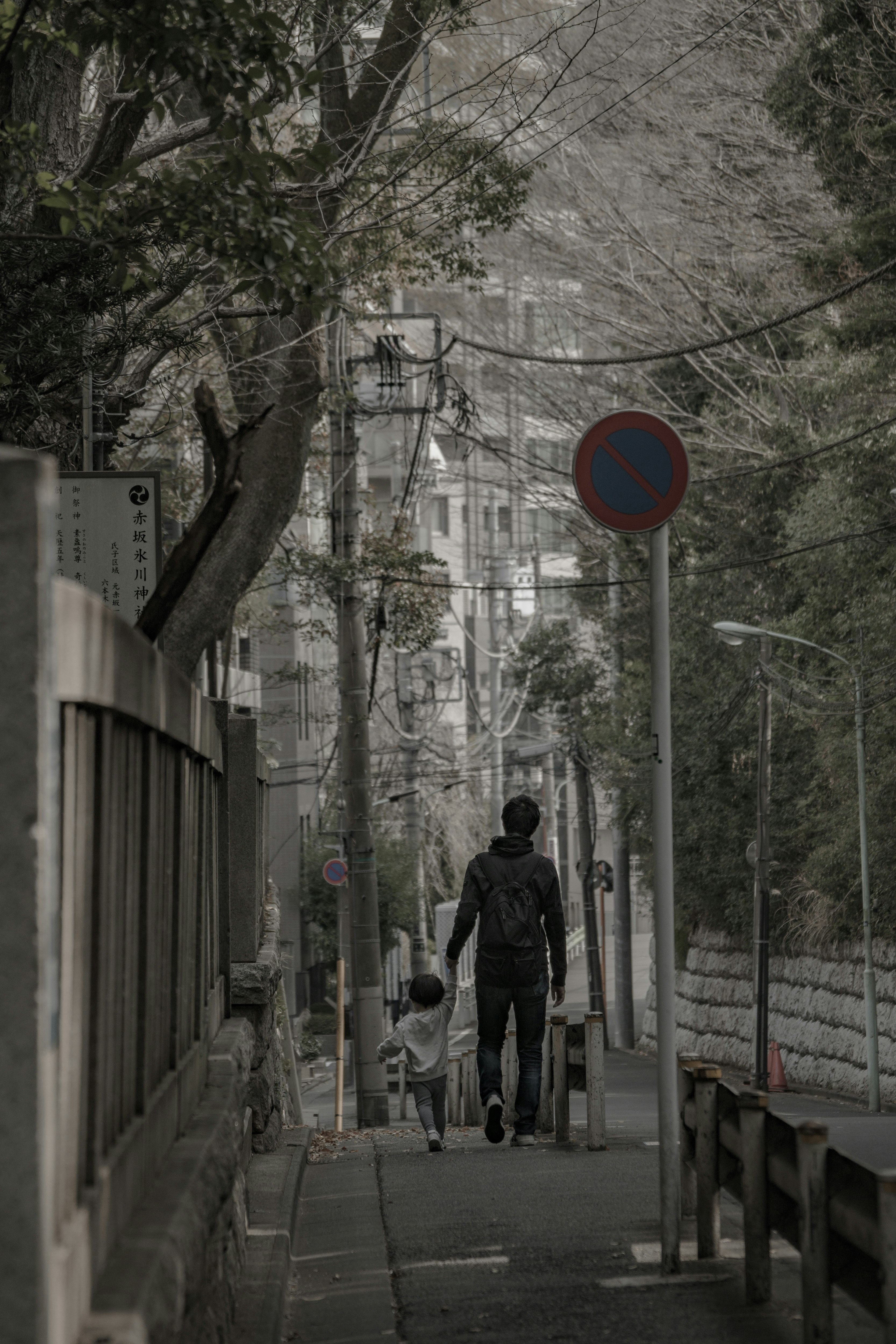 親子で歩く並木道の街路風景
