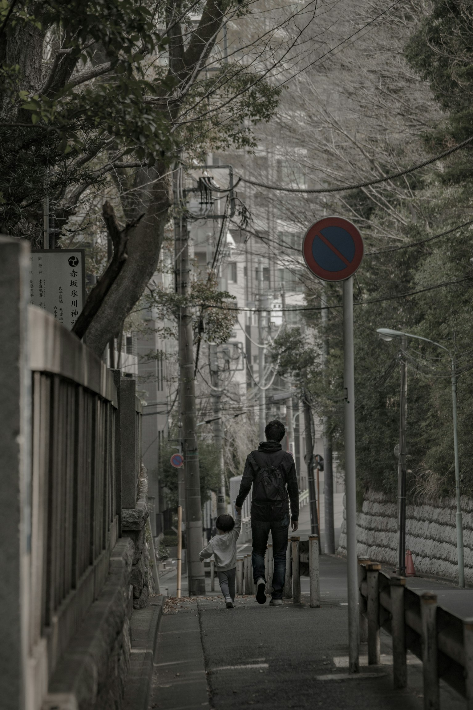 Silueta de un padre y un hijo caminando por una calle tranquila flanqueada de árboles verdes y farolas