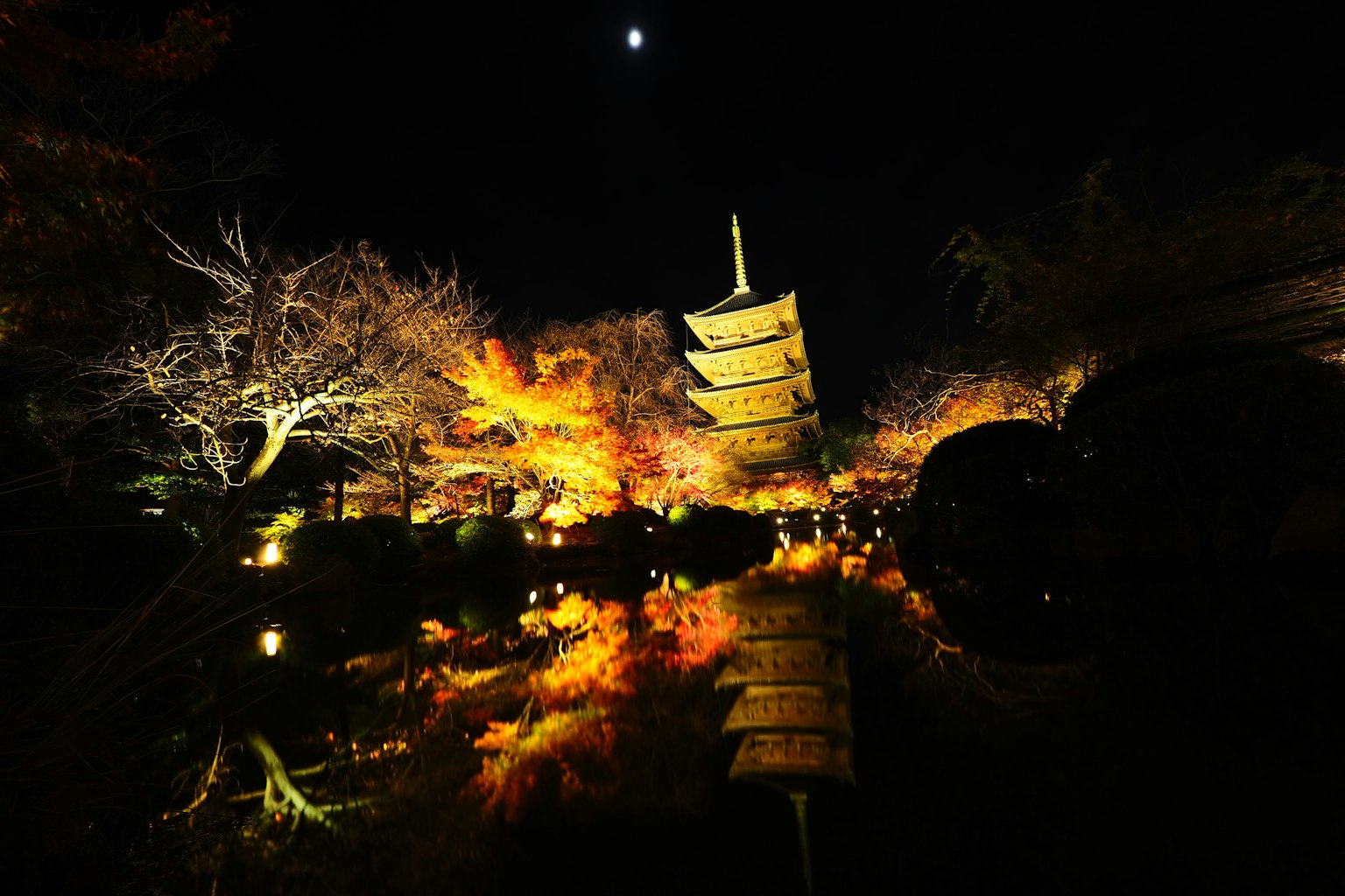 夜晚日本花园的景色，灯光与色彩斑斓的树叶的倒影