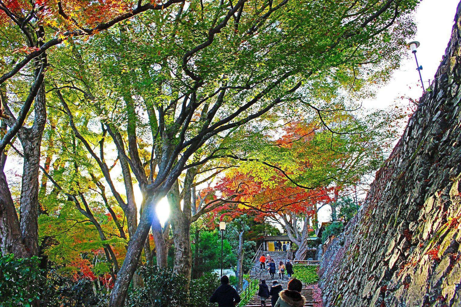 People walking along a pathway in a park with beautiful autumn foliage