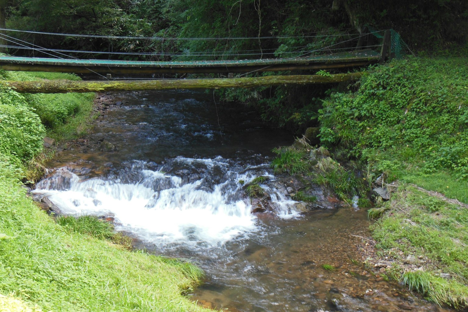 Un arroyo pequeño rodeado de hierba verde con un puente de madera arriba