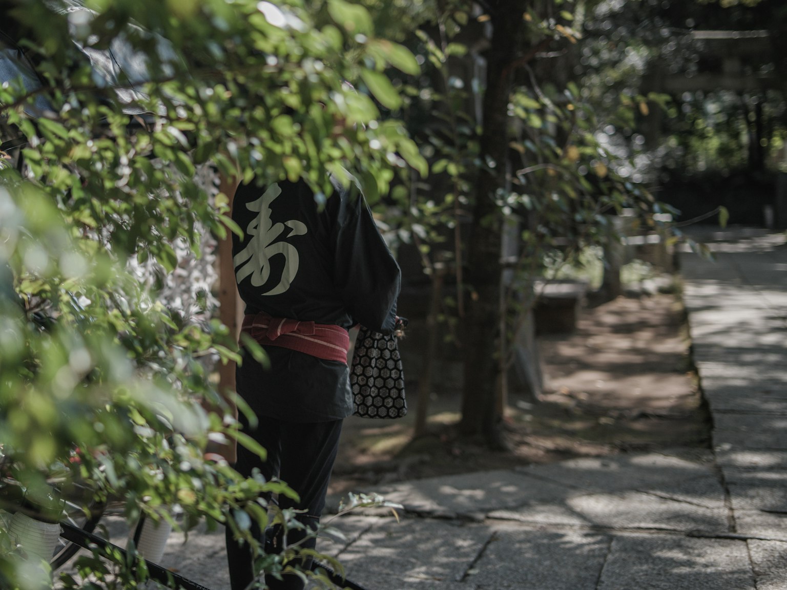 穿著和服的人在郁郁蔥蔥的樹林中漫步