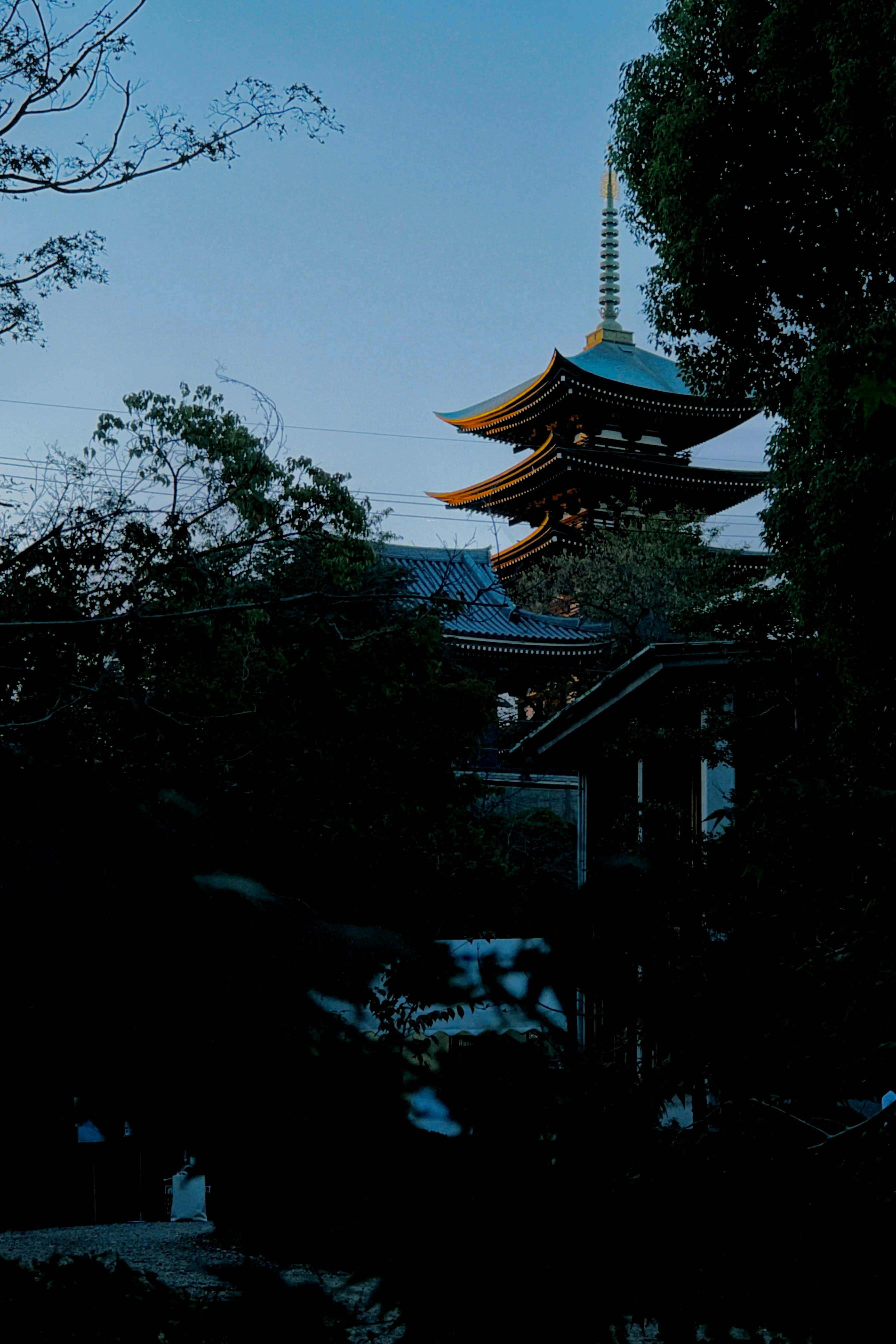 木々の間から見える五重塔のある寺院の景色
